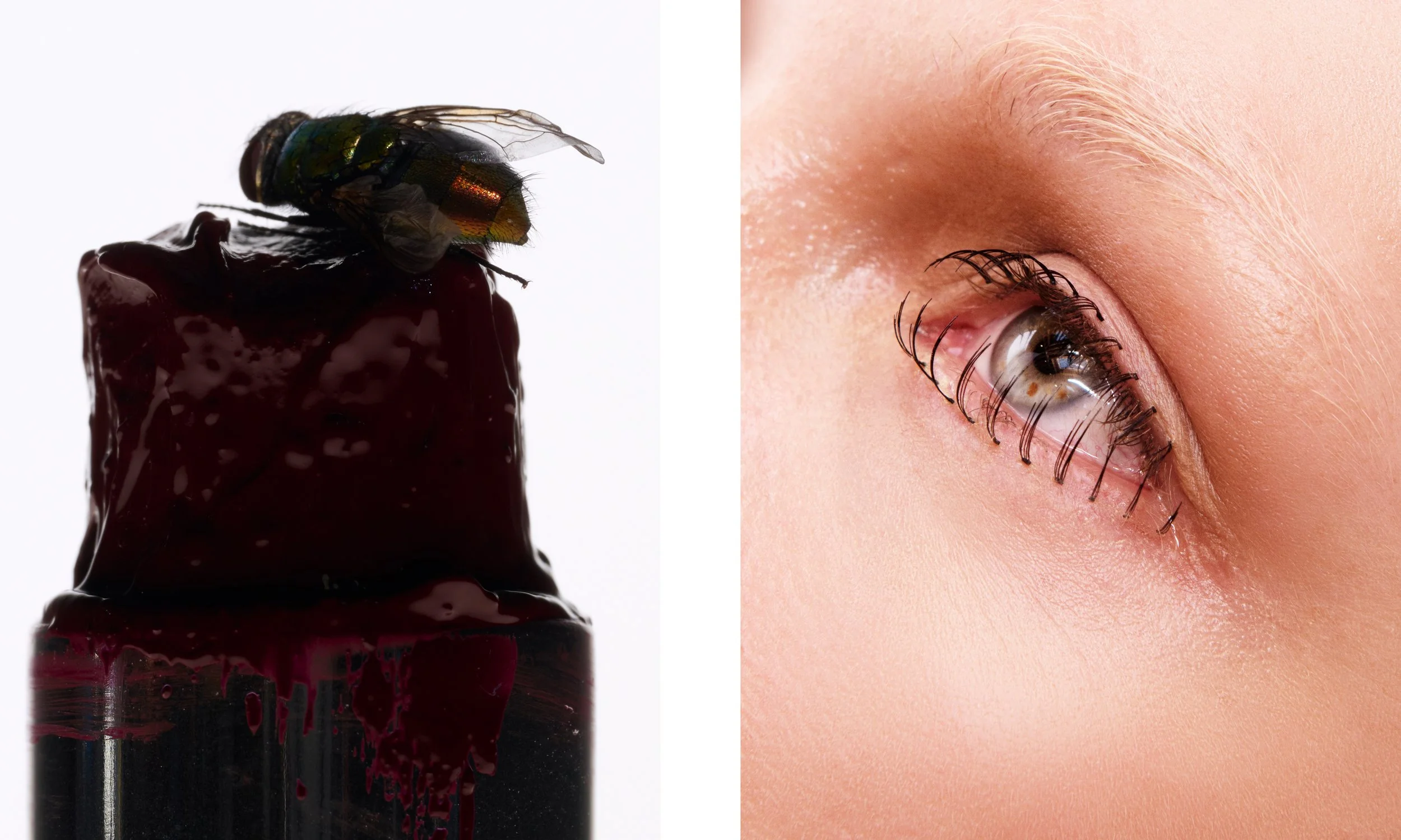 bessie fly with alexis eye diptych.jpg