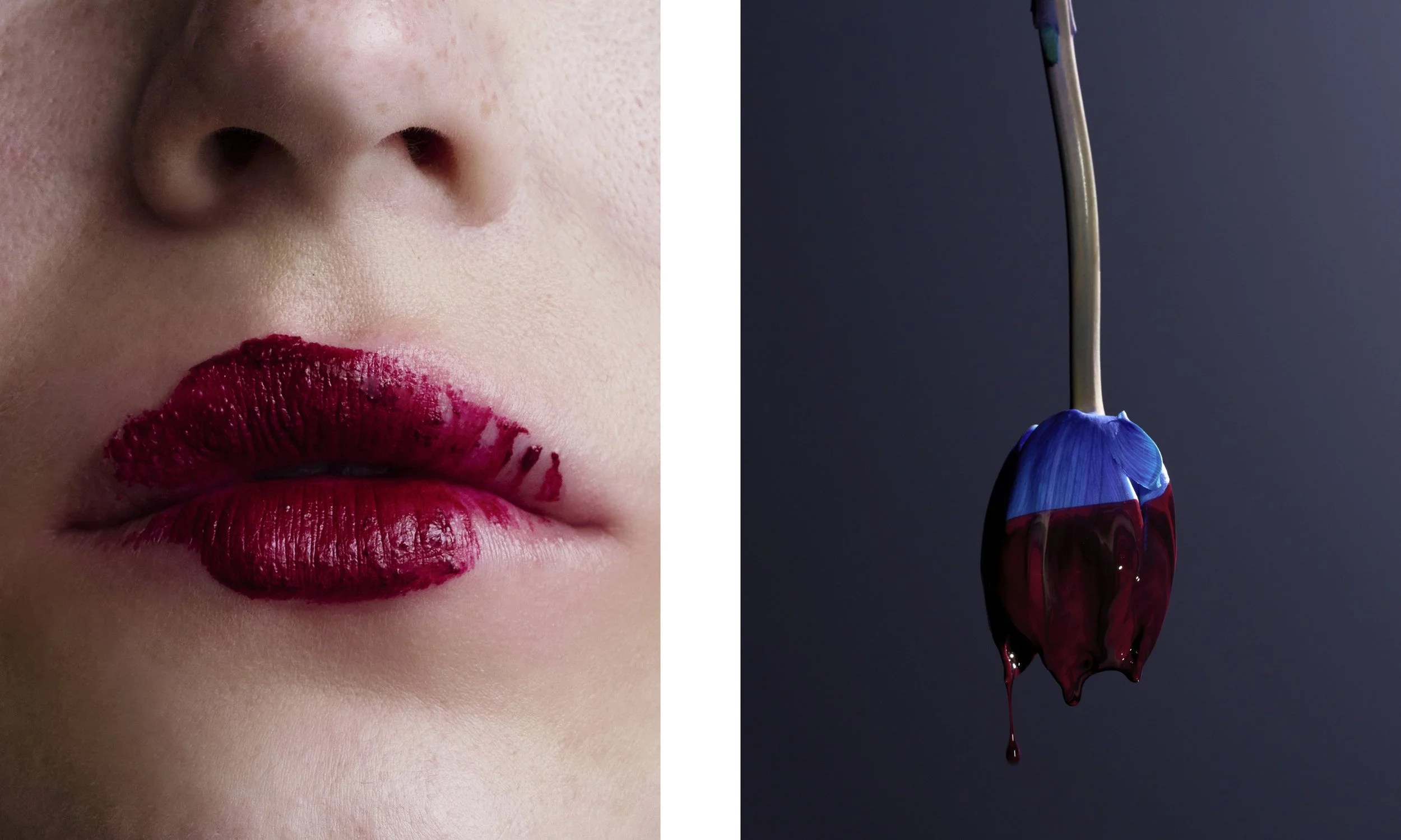 charlotte tulip diptych.jpg