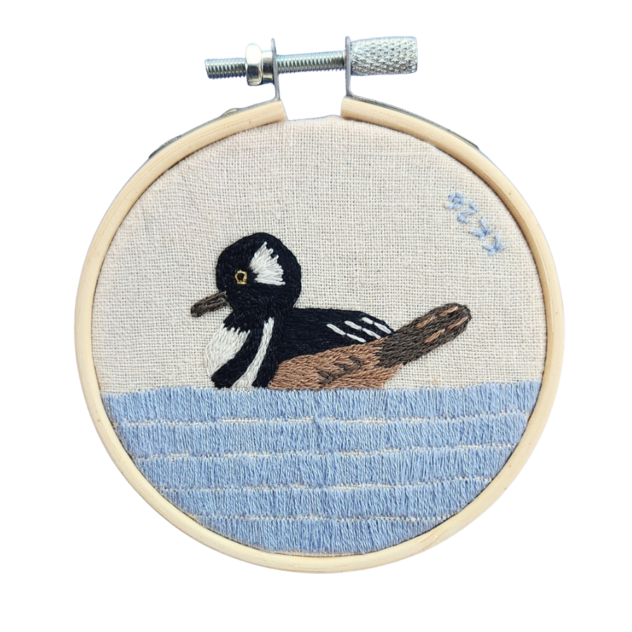 hooded-merganser.png