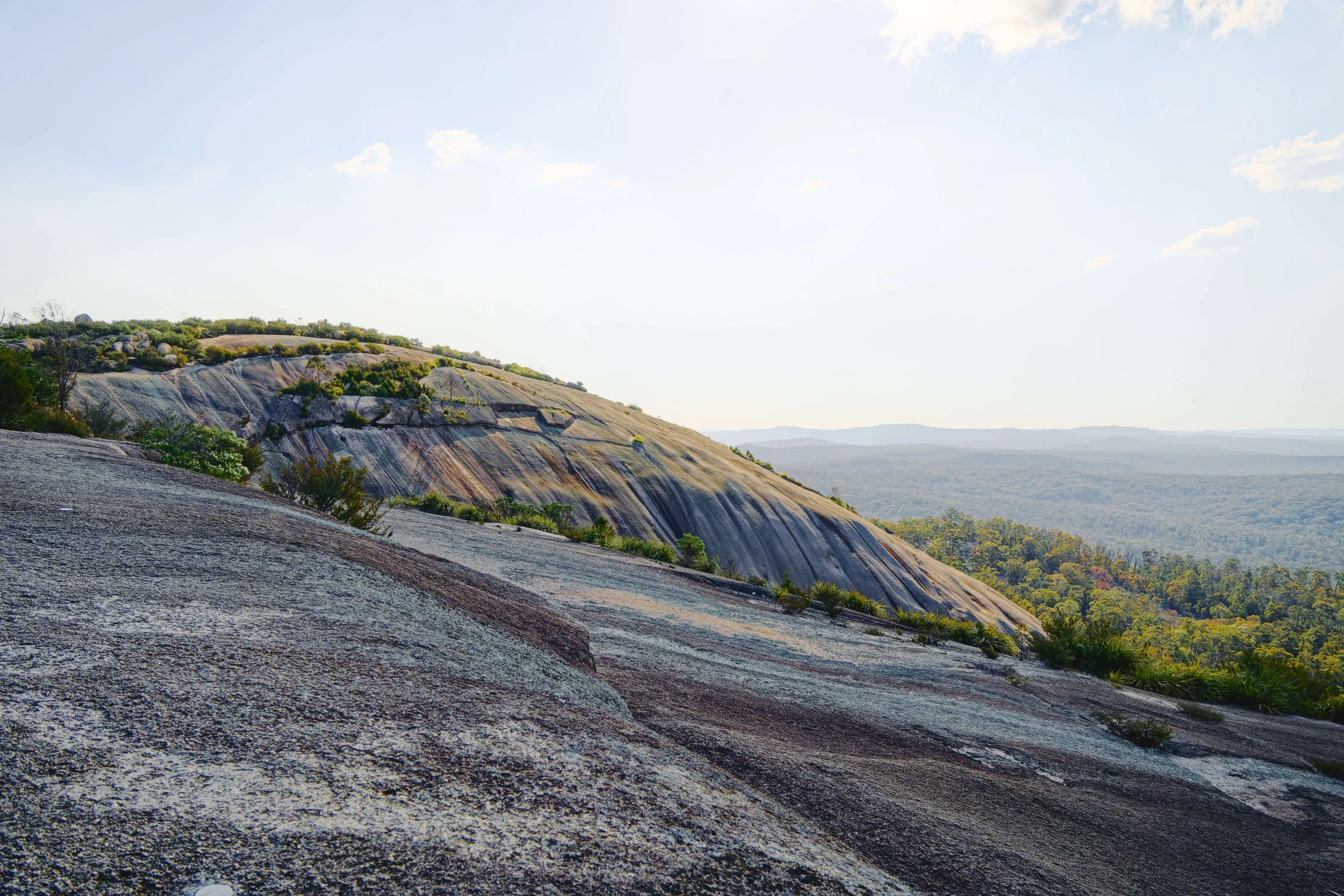 Panoramic view of smooth granite rock formations overlooking a forested valley beneath a bright blue sky