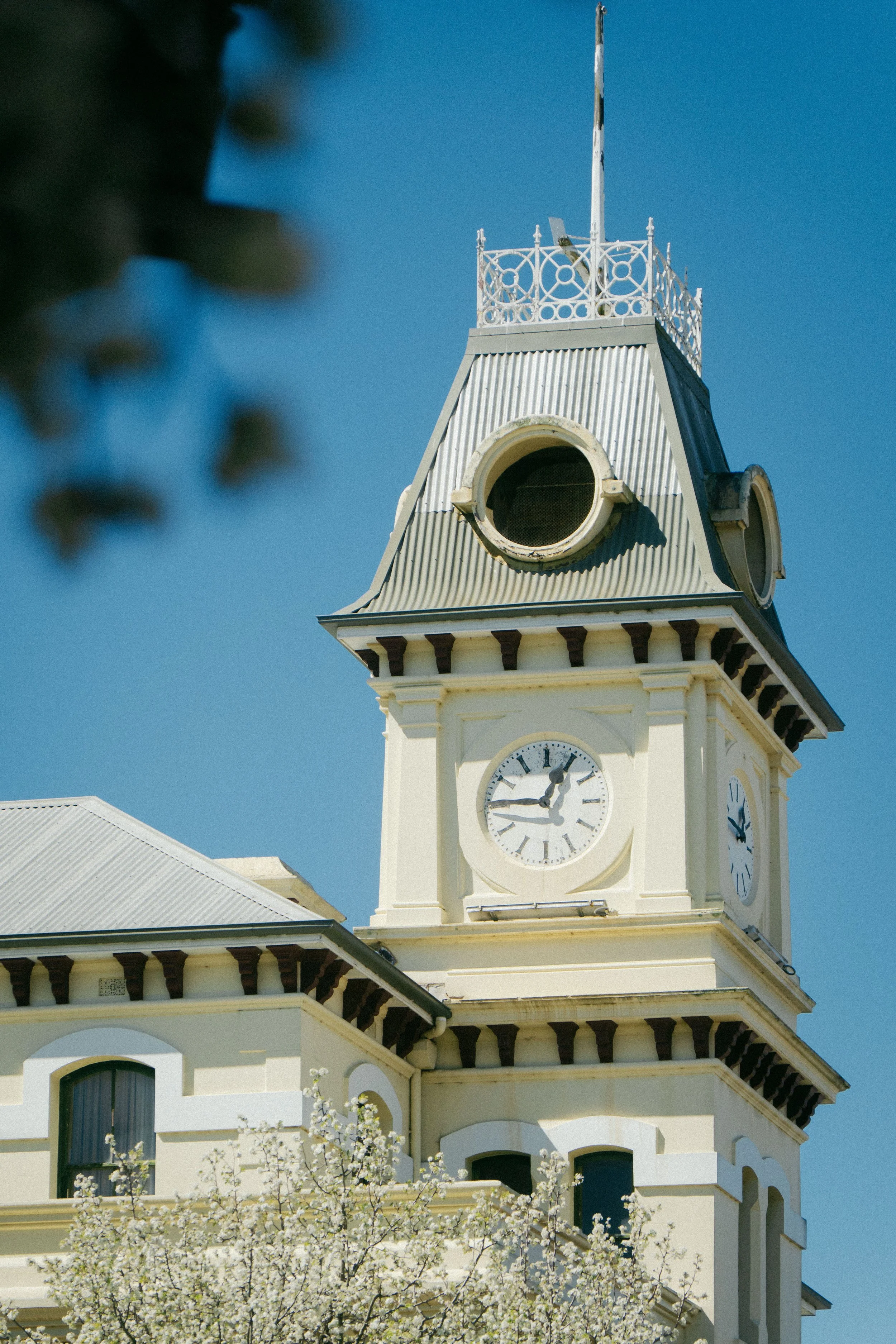 White historic clock tower with ornate railings and spire against a bright blue sky, partly obscured by blooming trees.