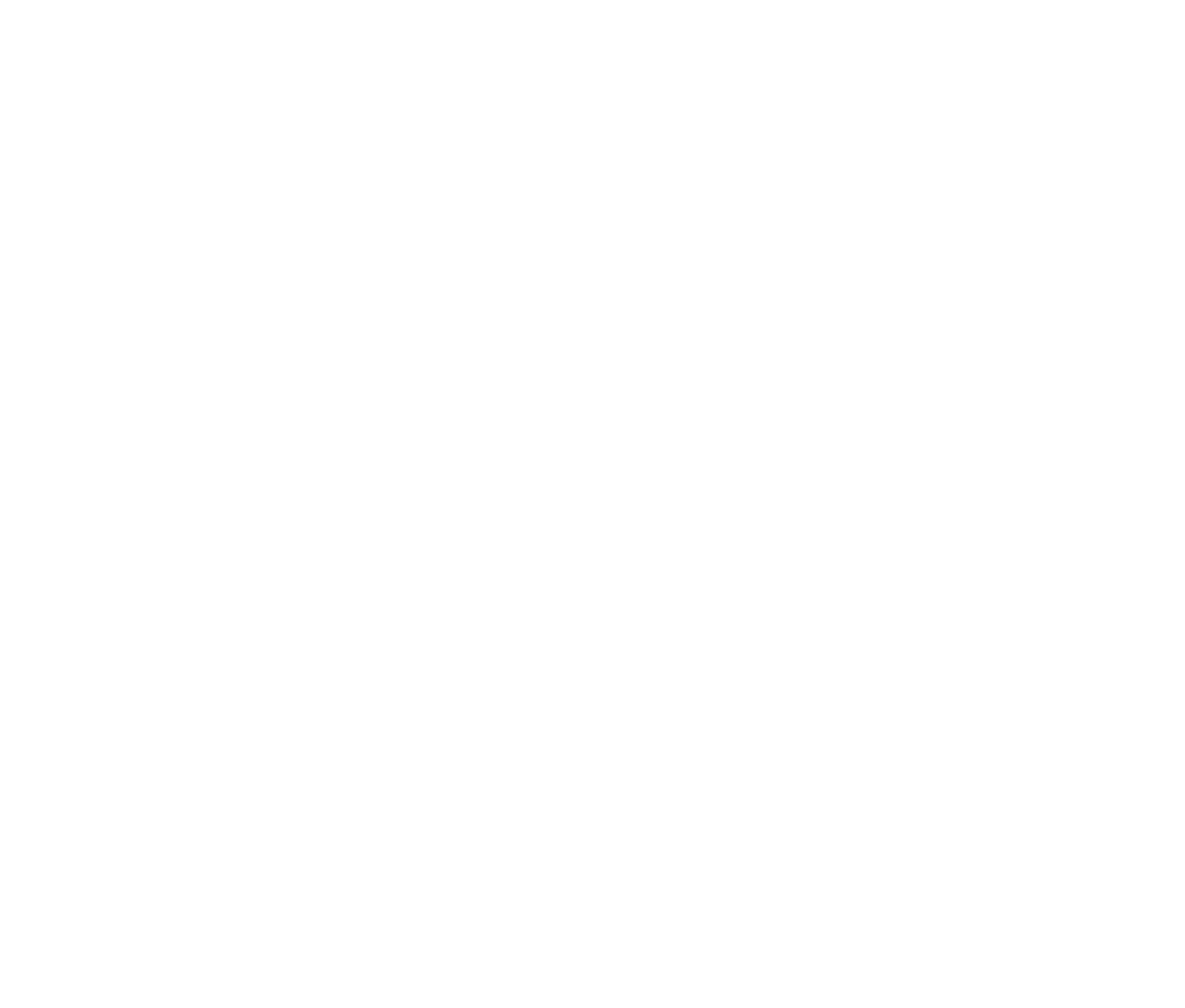 Story to Light Studio logo