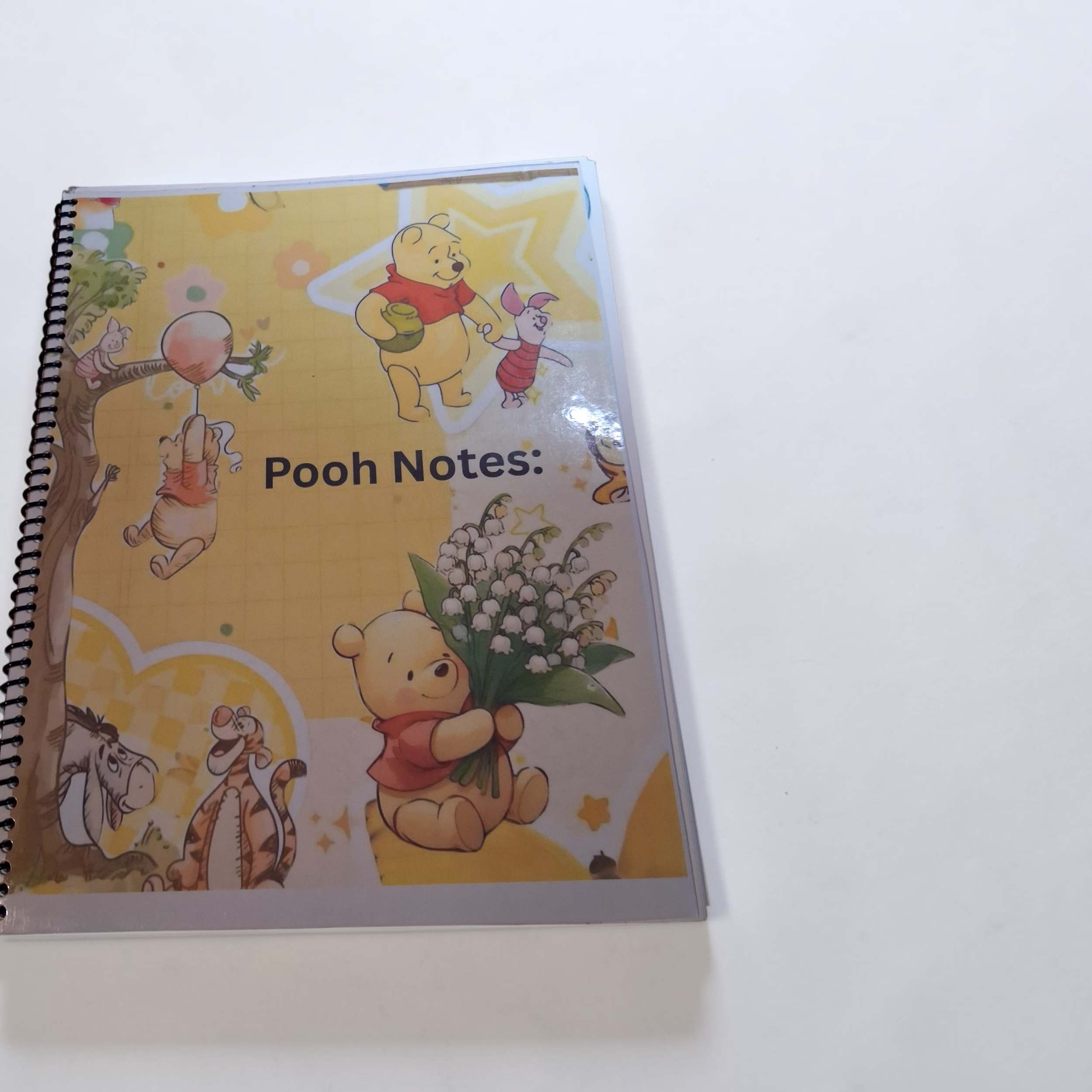 pooh bear journal 1.png