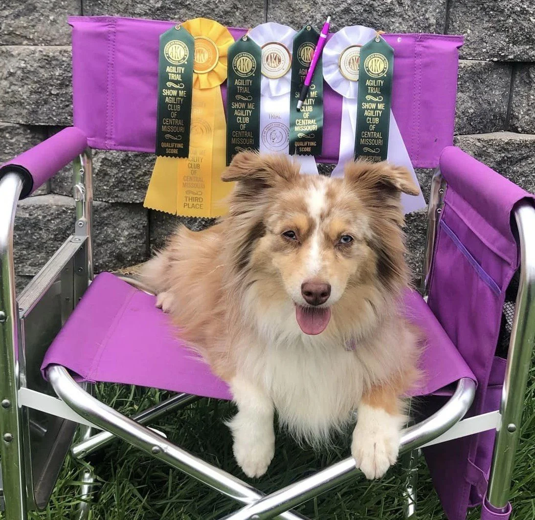 River chair.jpg
