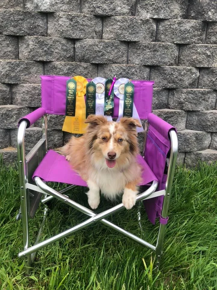 RIver chair2.jpg