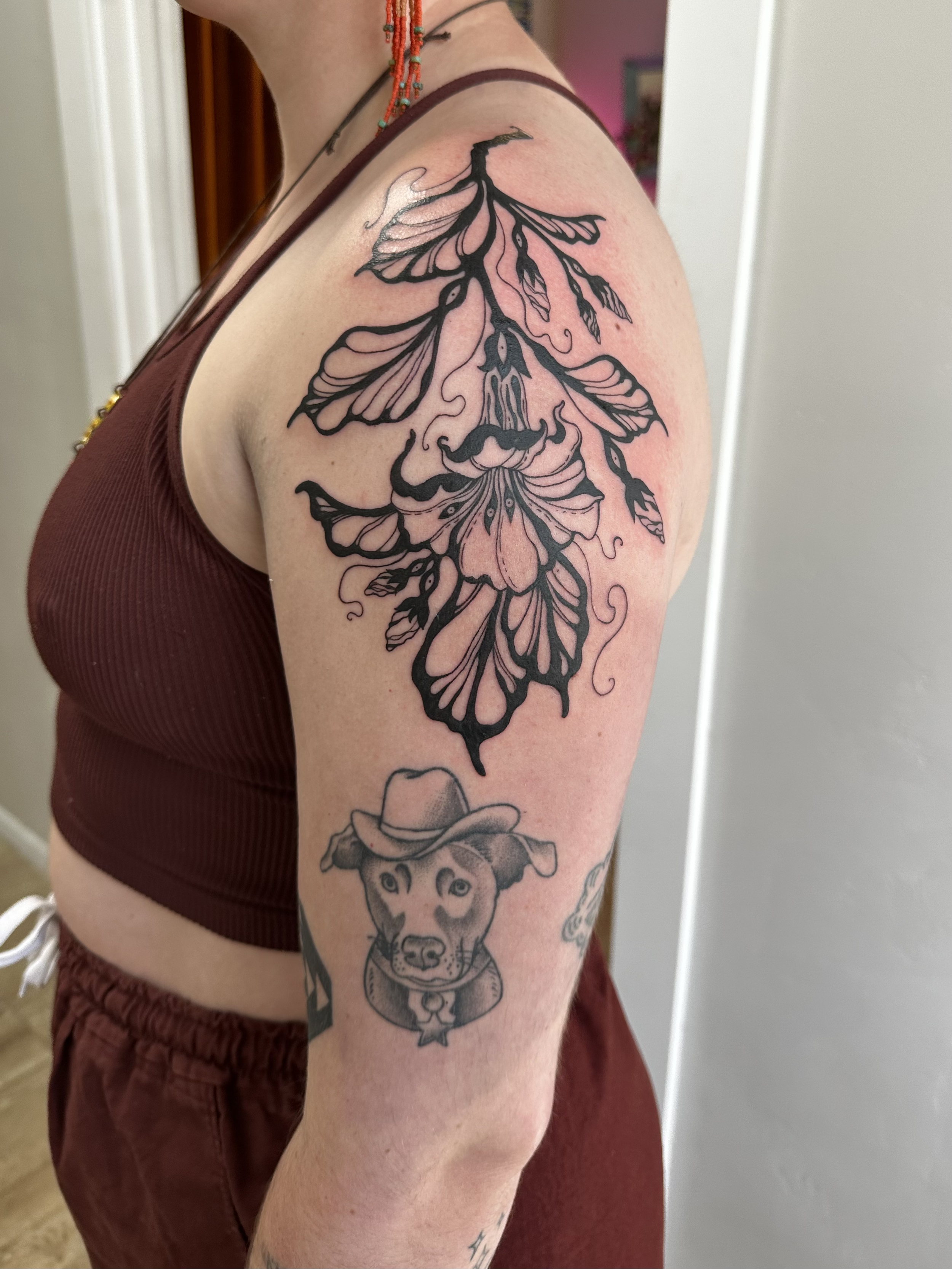 tempImages1NE9e.png