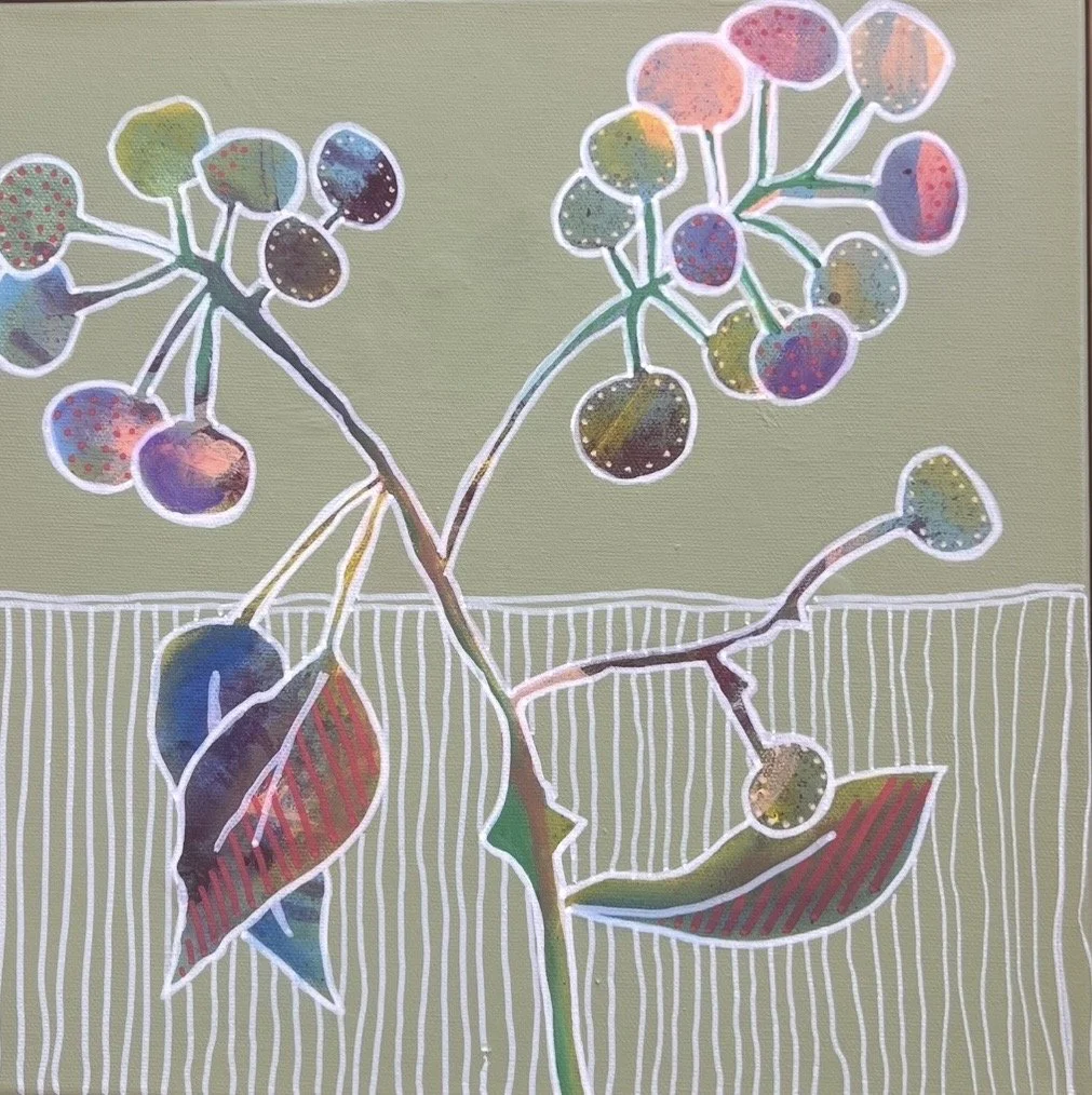 Painted Gumnuts