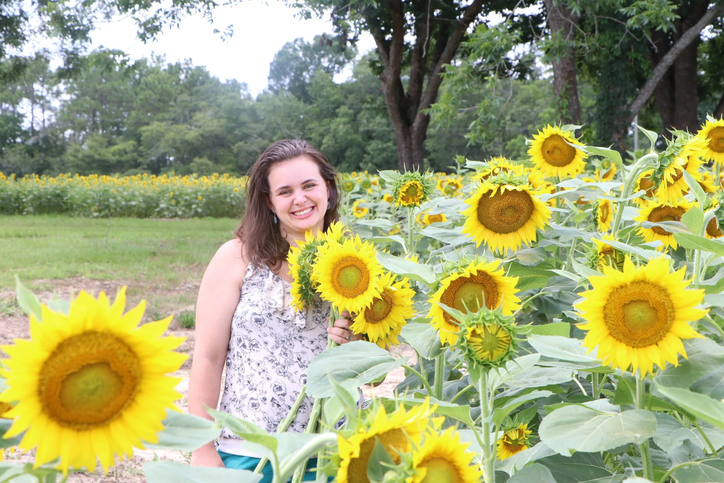 becca_stackhouse_morson_lets get connected_sunflower field