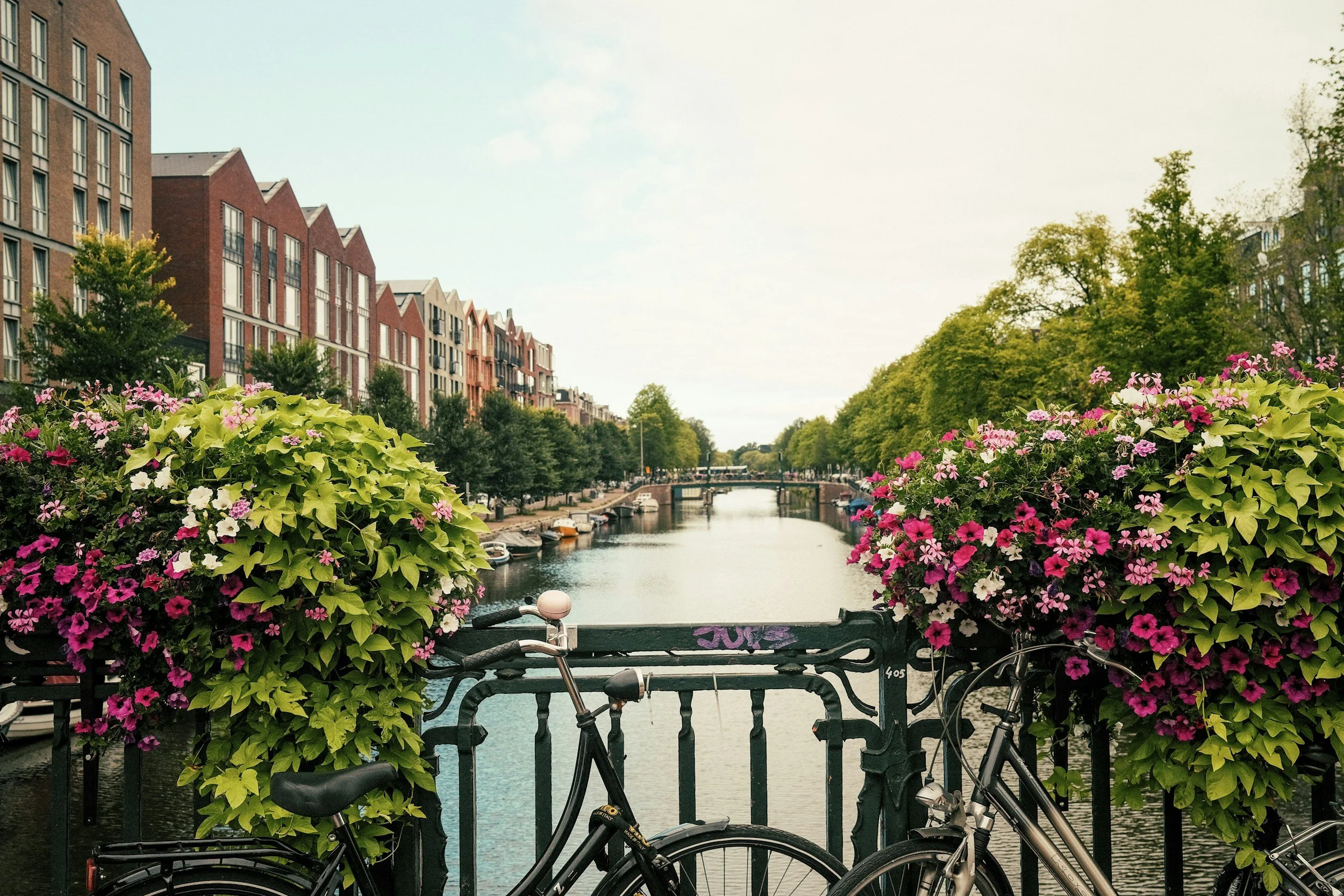 A canal scene in a European city, with colorful buildings on the left, lush green trees on the right, and a bridge crossing the canal in the background. Two bicycles are parked against a railing adorned with vibrant pink, purple, and white flowers in the foreground.