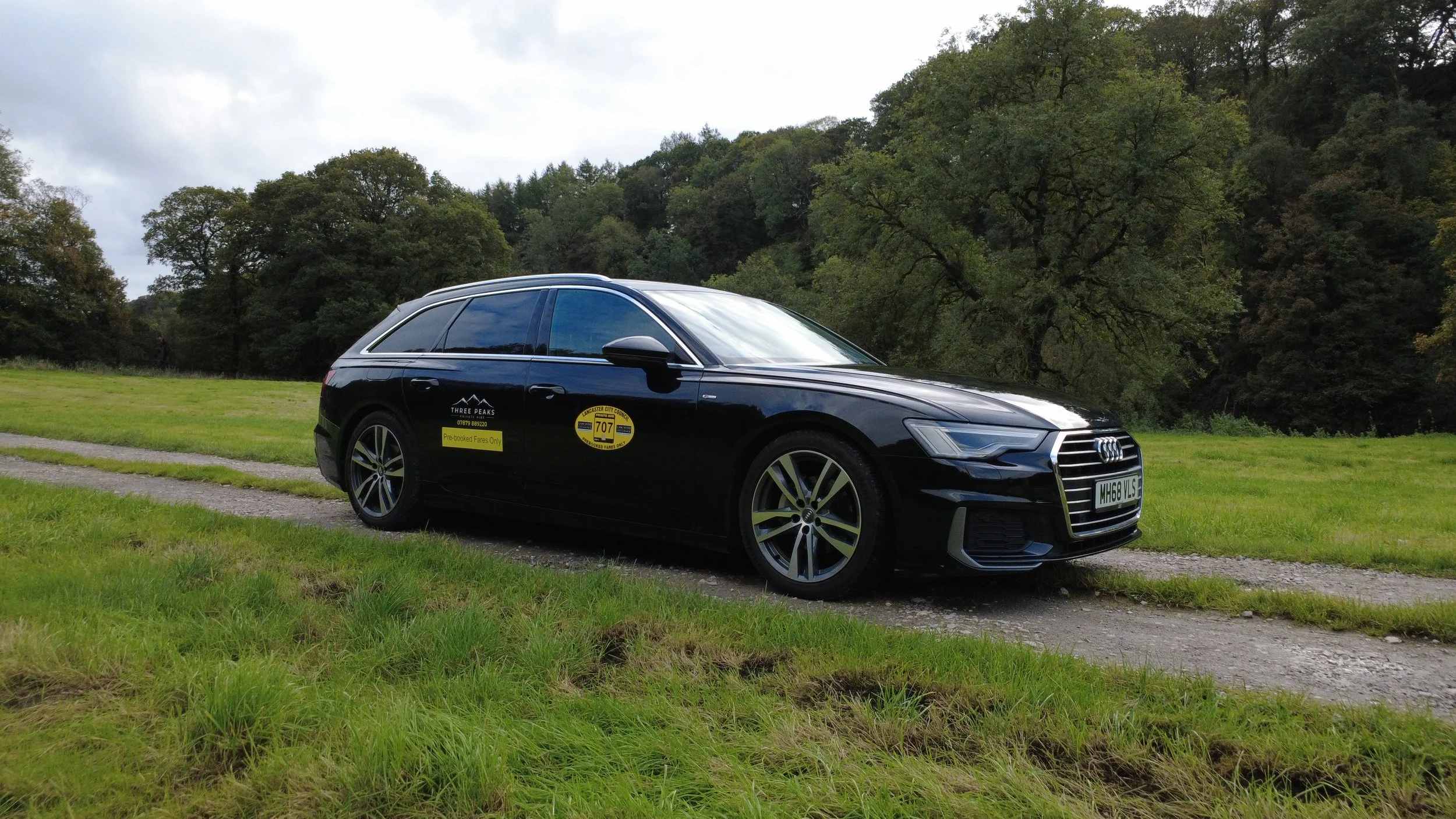 A black Audi station wagon parked on a grassy field with trees and hills in the background.