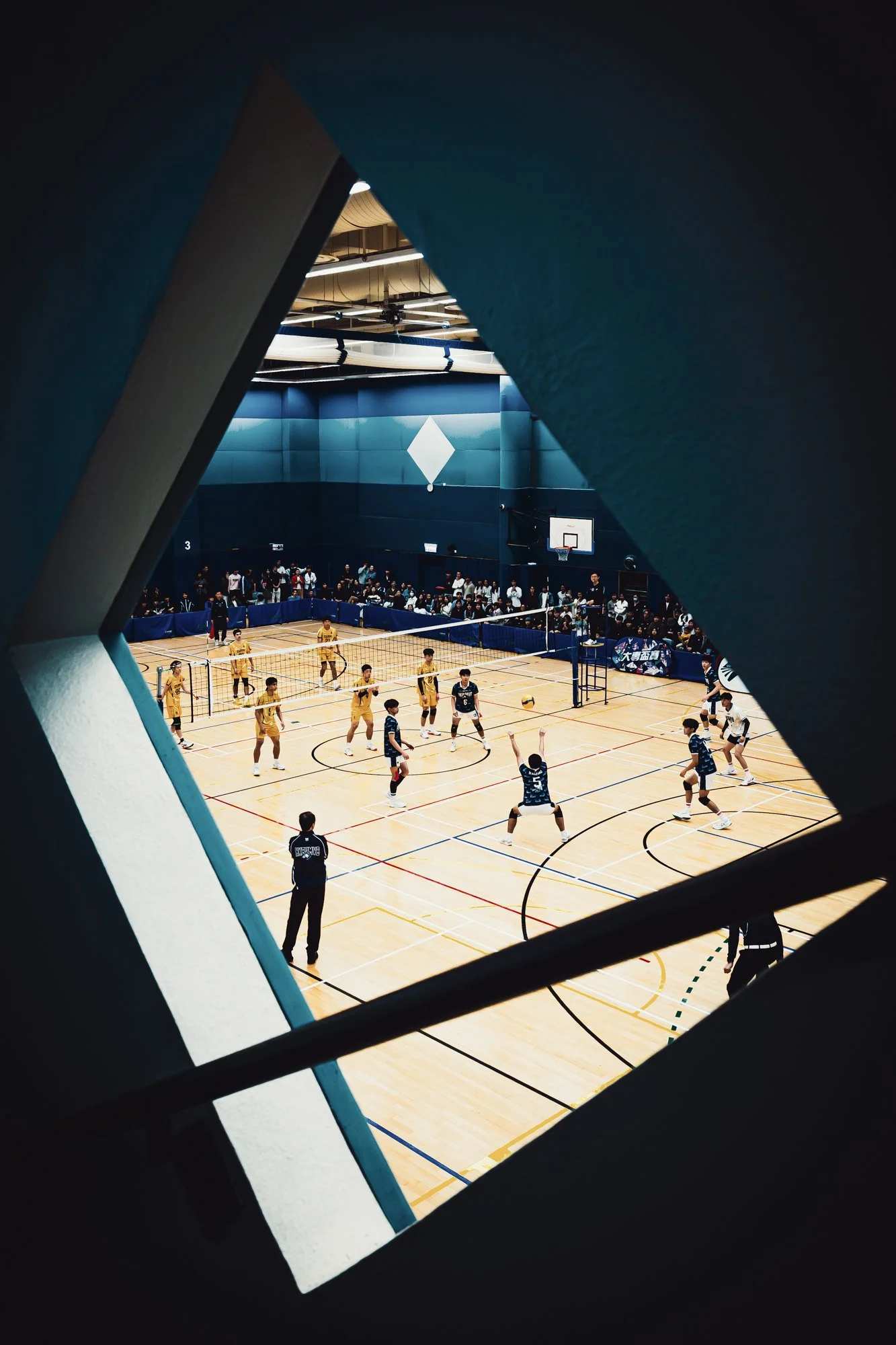 Hong Kong Volleyball