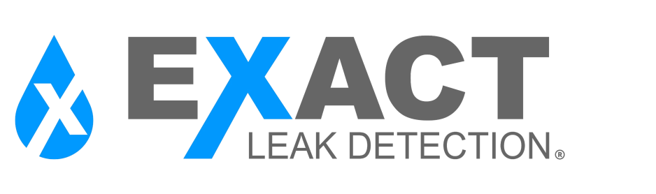 Exact Leak Detection