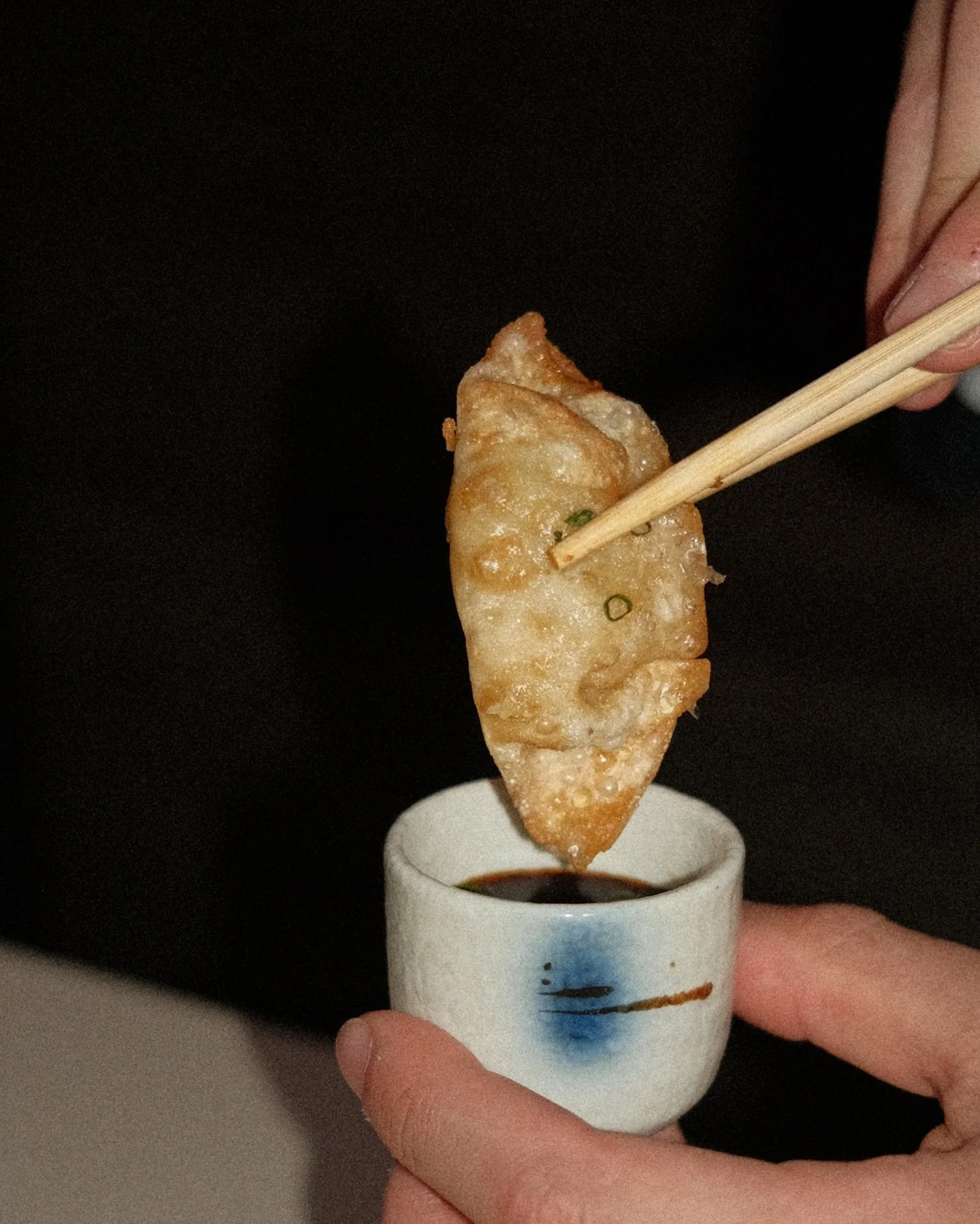nemo-gyoza-dip.jpg