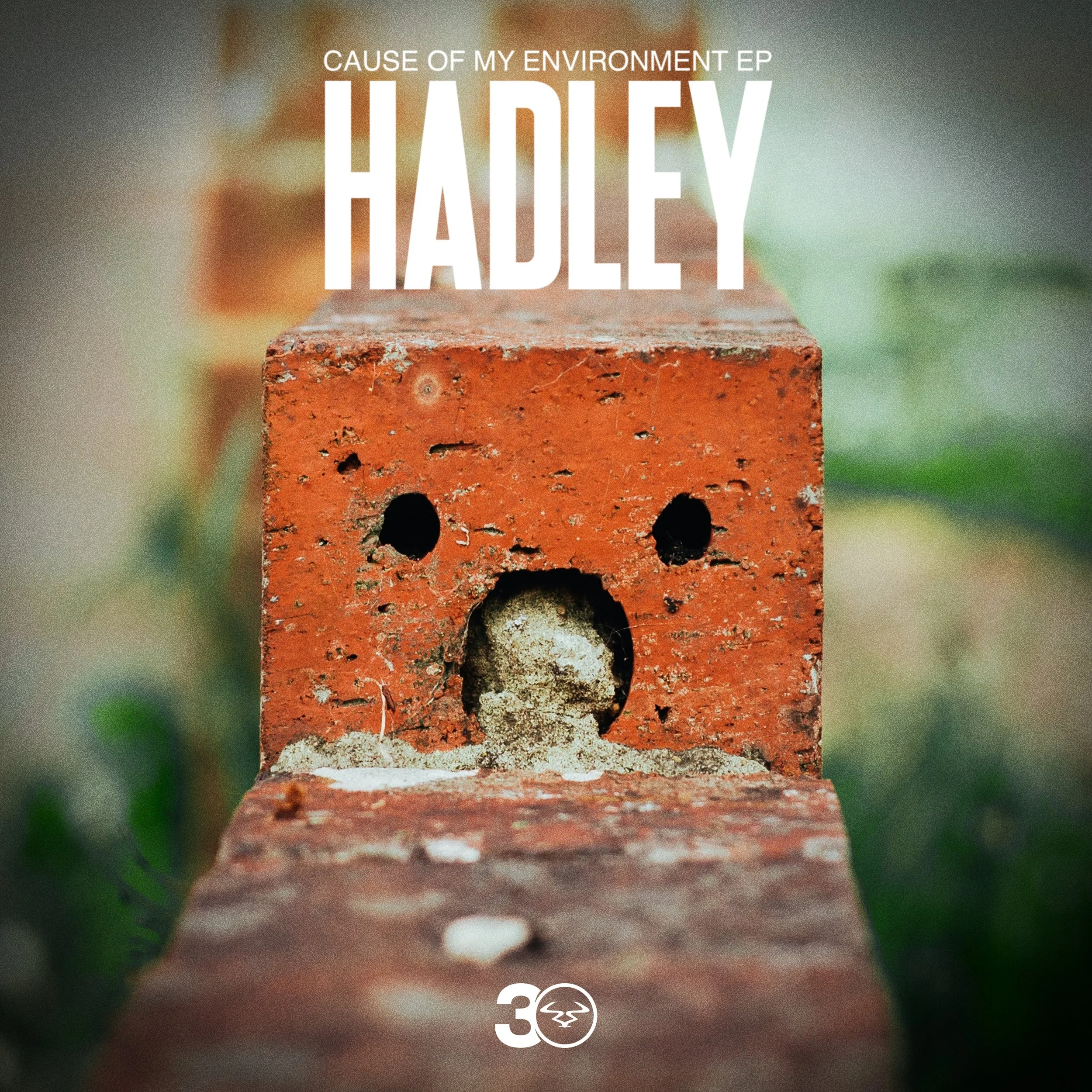 Hadley - Cause Of My Environment EP.jpg