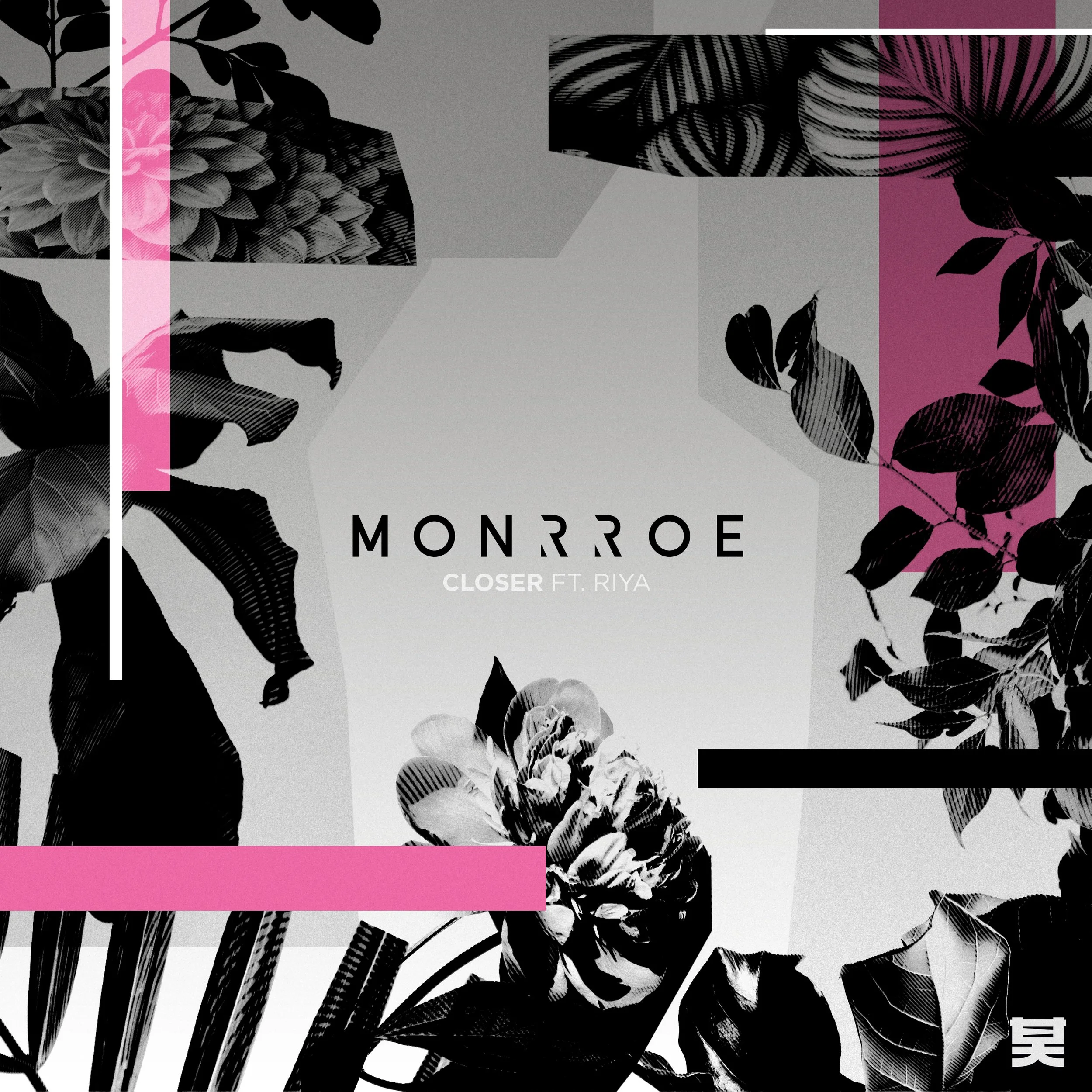 Monrroe_Closer.jpg