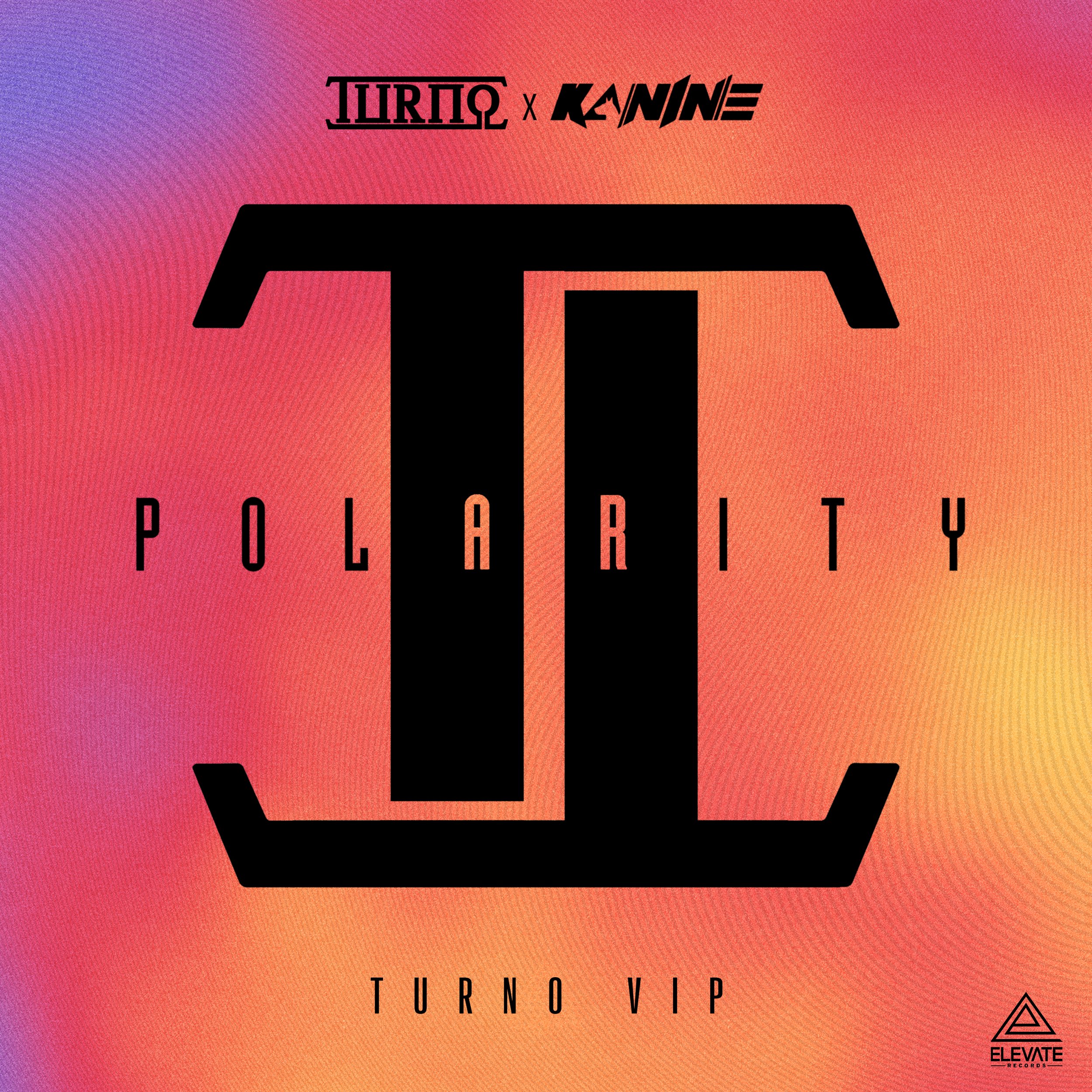 POLARITY_REMIX_1 copy.jpg