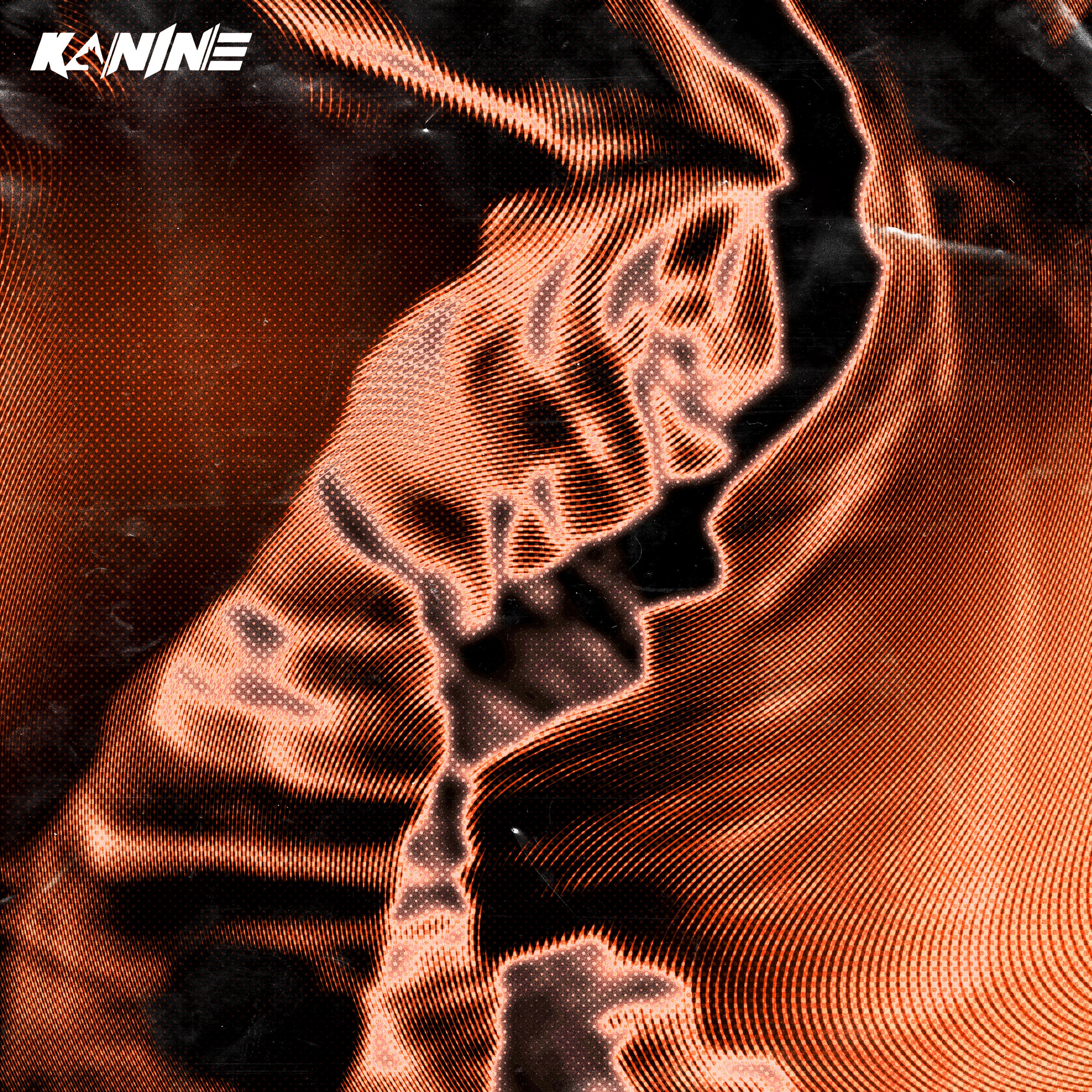 KANINE_GET_DOWN.jpg