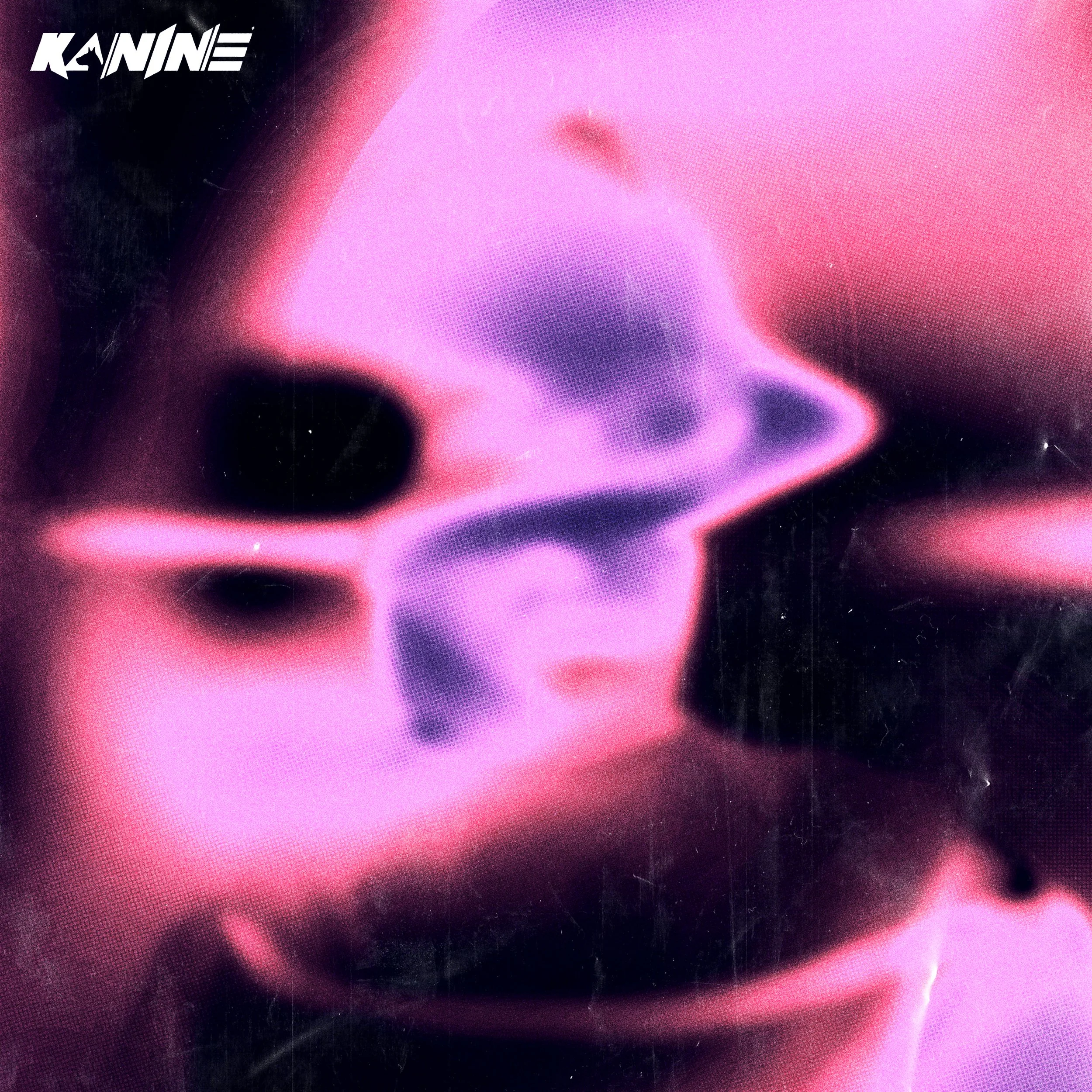 KANINE_DIVISION.jpg