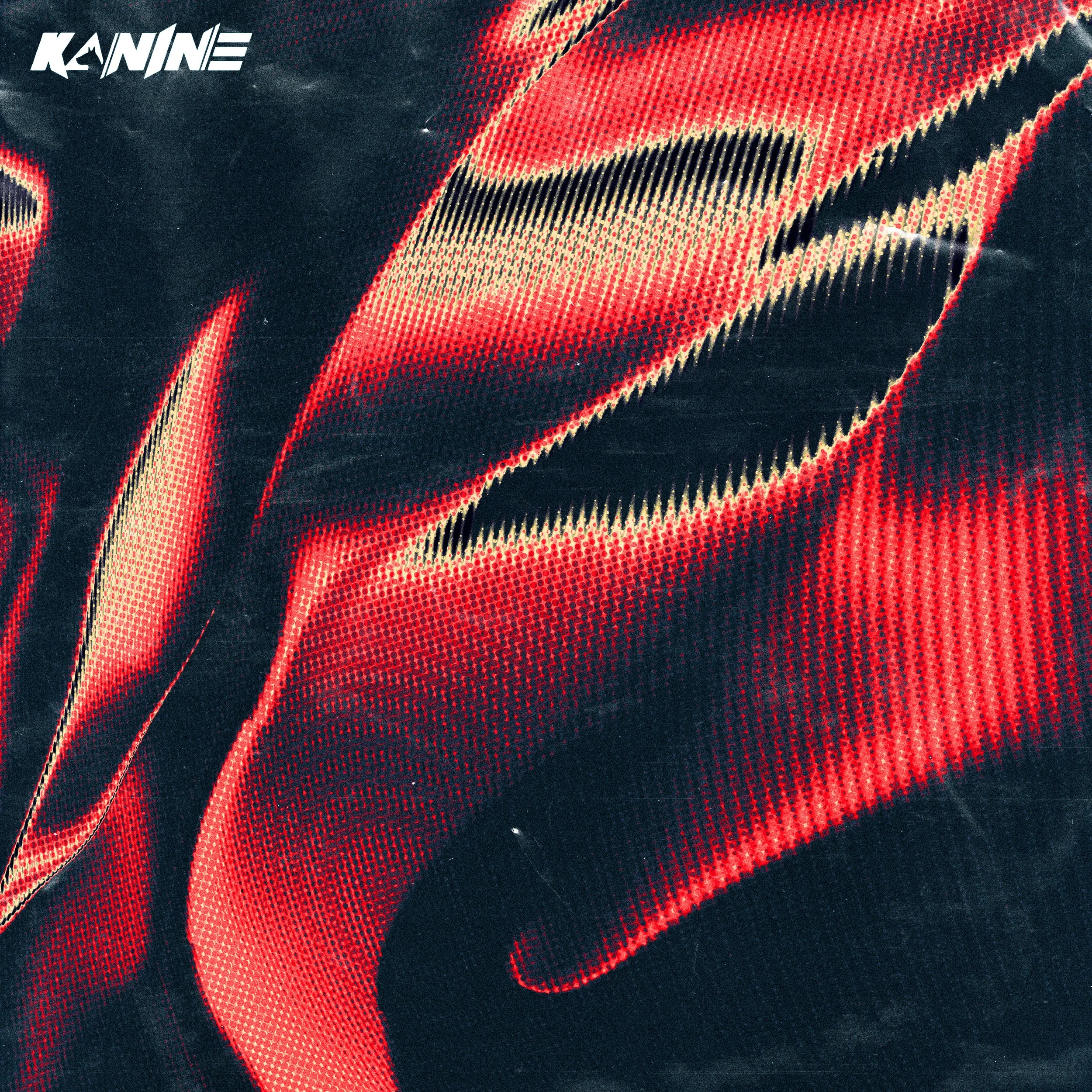KANINE_002.jpg