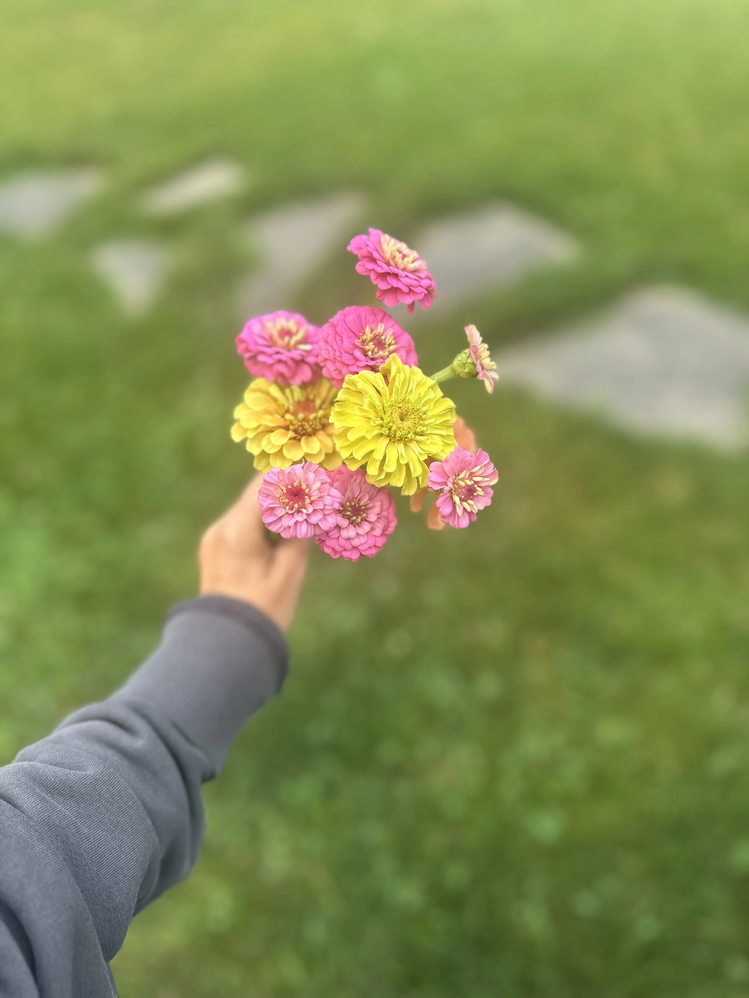 IMG_7380.jpeg