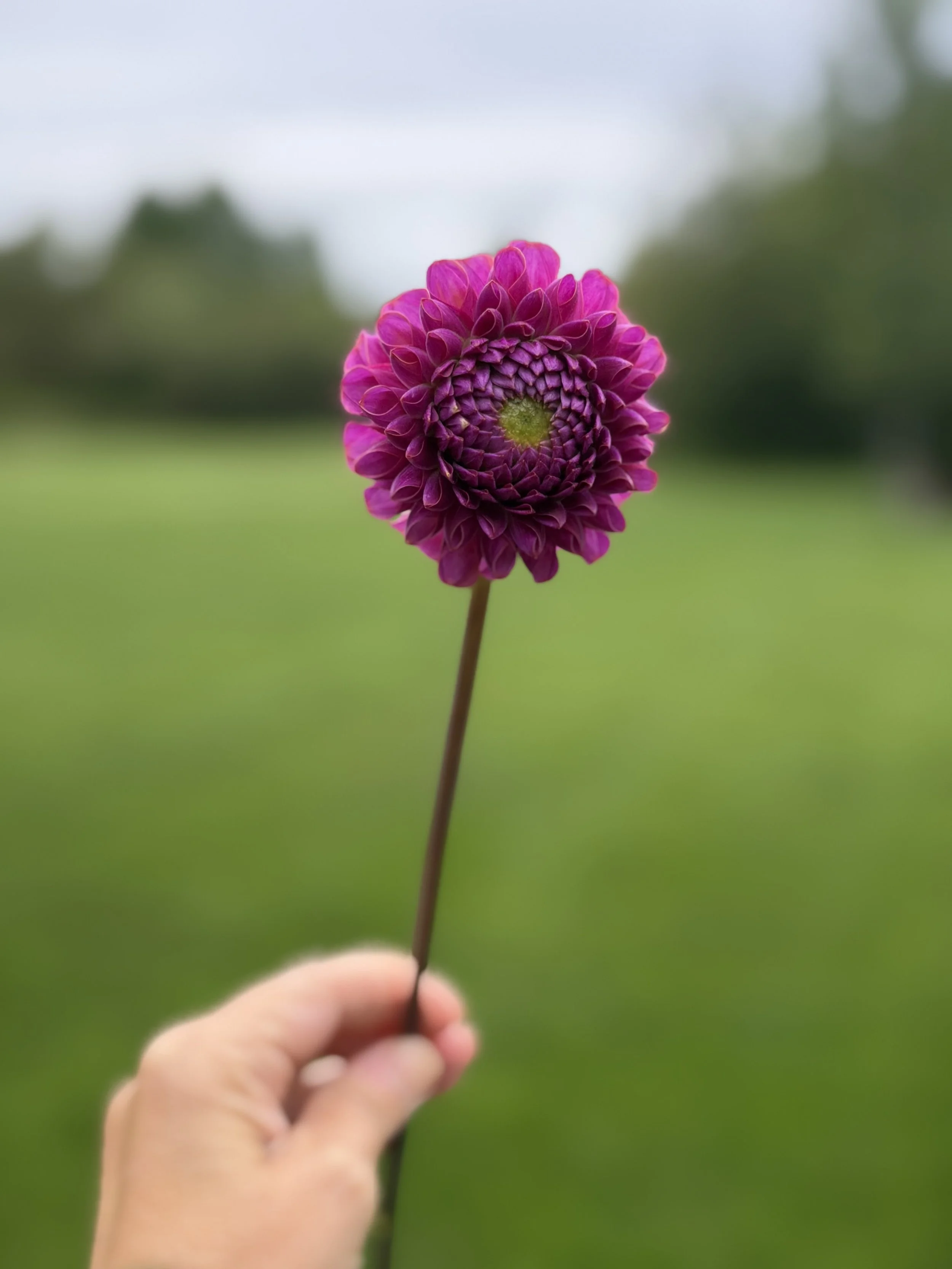 IMG_0278.jpeg