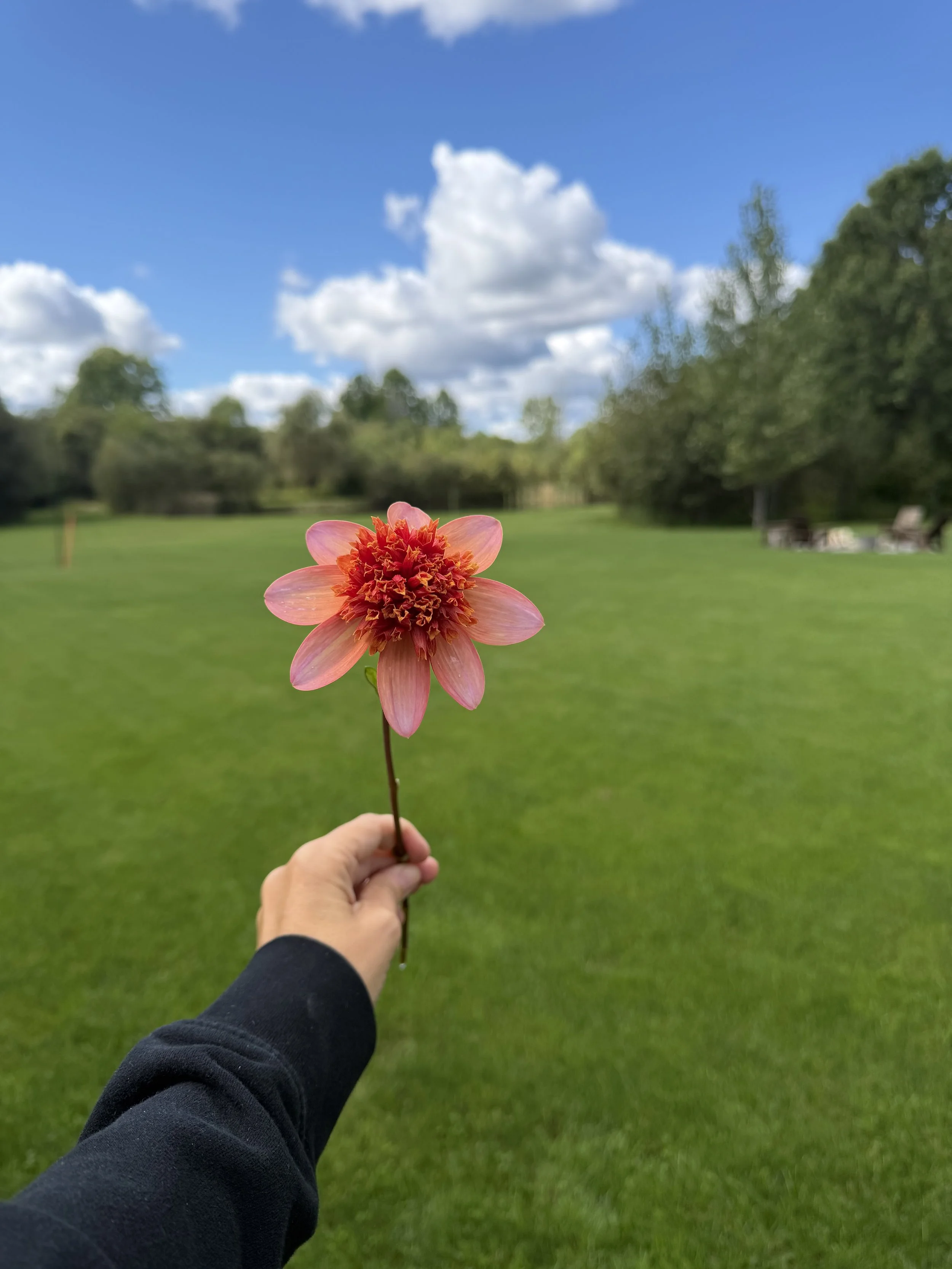 IMG_0209.jpeg