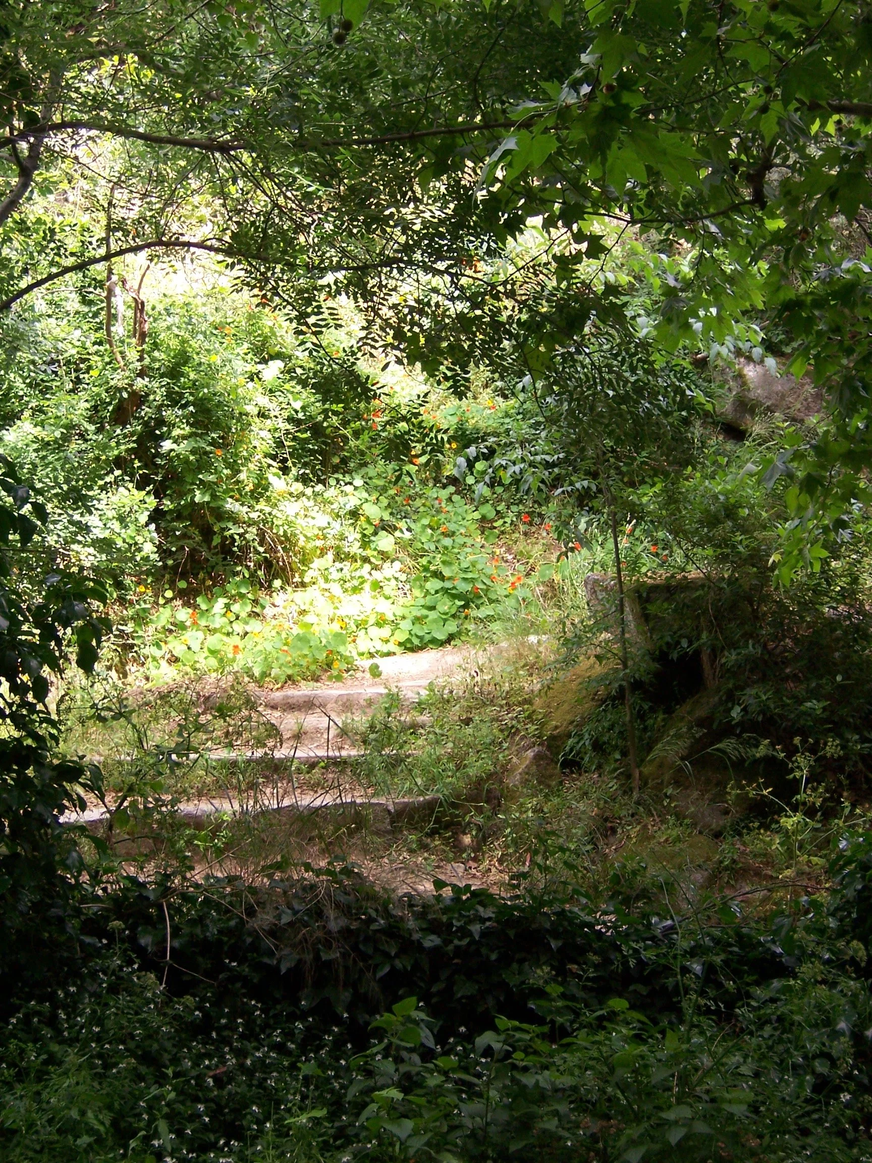 Eine lange Steintreppe mit Geländern führt durch dichtes Grün bergauf.
