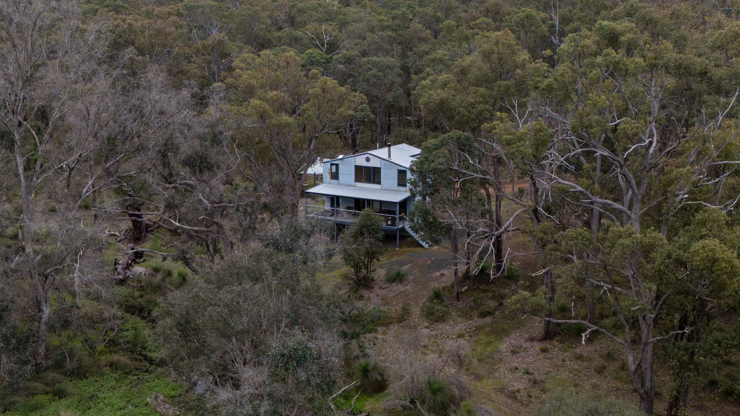 Farm Stay Highlands Cow WA