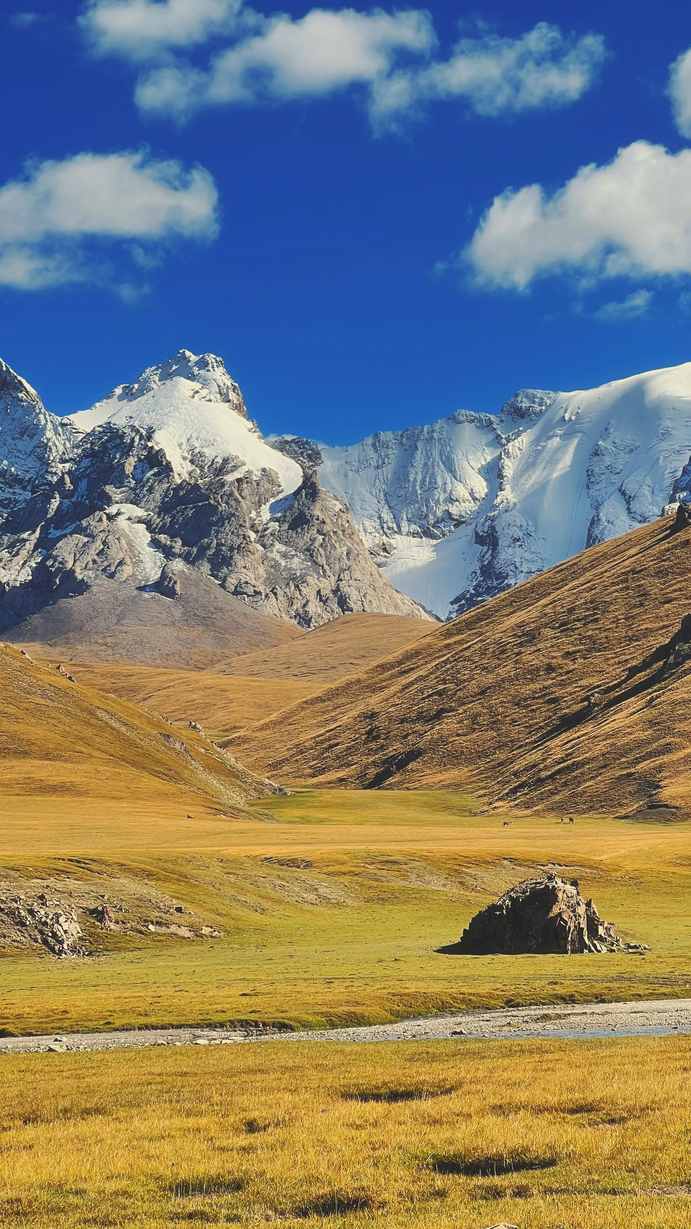 A landscape of snow-capped mountains with a grassy valley in the foreground under a blue sky with white clouds.