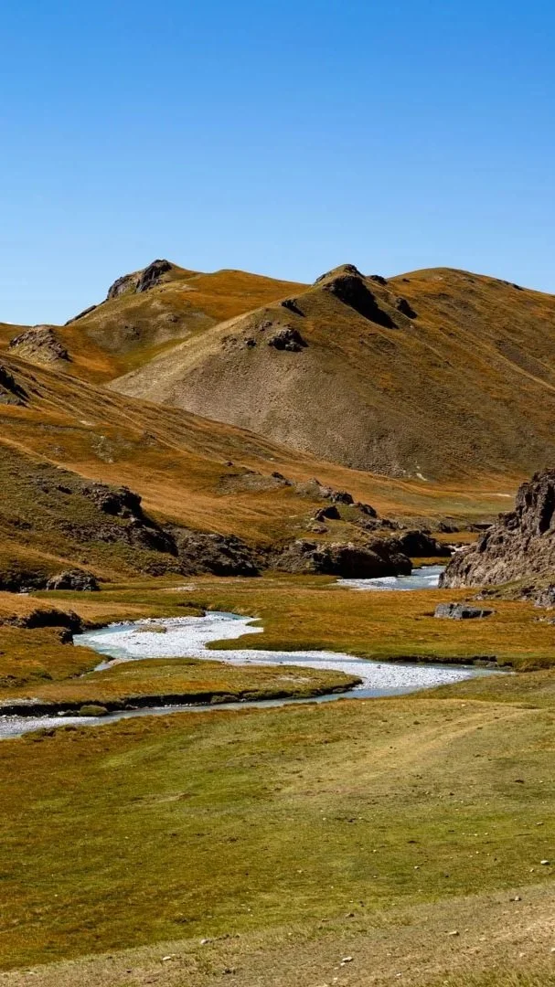 Scenic landscape with rolling grassy hills, a flowing river, and rugged mountains under a clear blue sky.