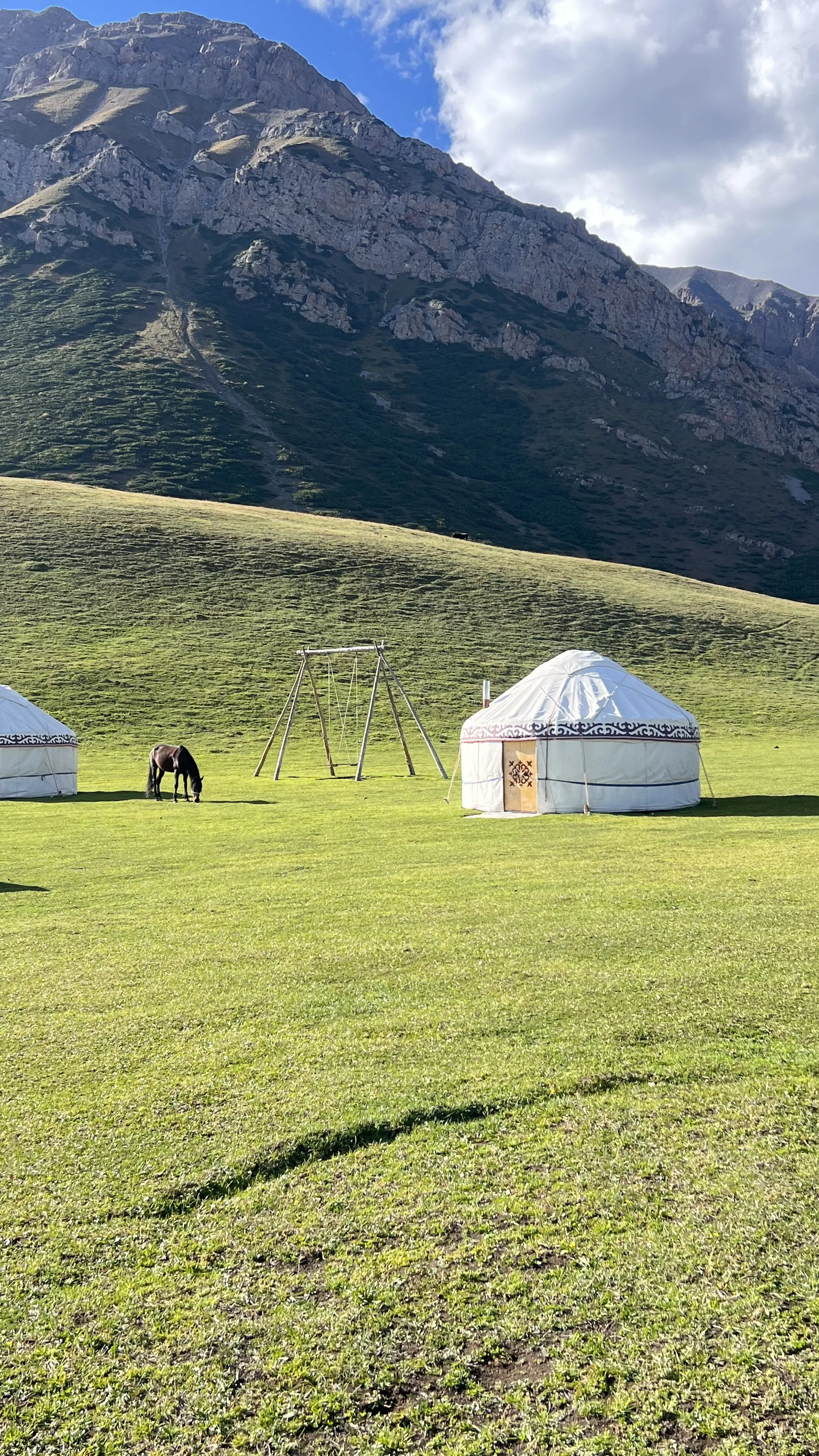 Green grassy field with two traditional yurts, a horse grazing, a wooden swing set, and a mountain range in the background under a partly cloudy sky.