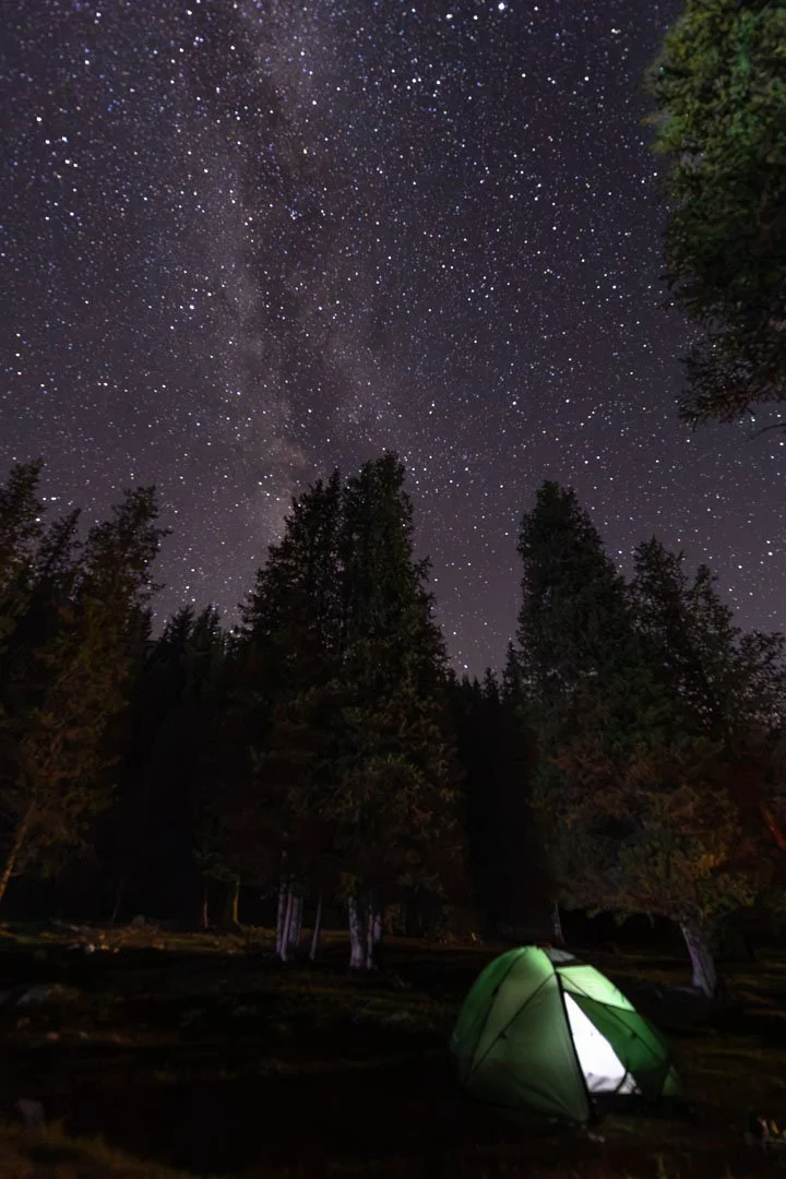 Nighttime camping scene showing a green tent illuminated from within, set among tall trees under a star-filled sky with the Milky Way visible.