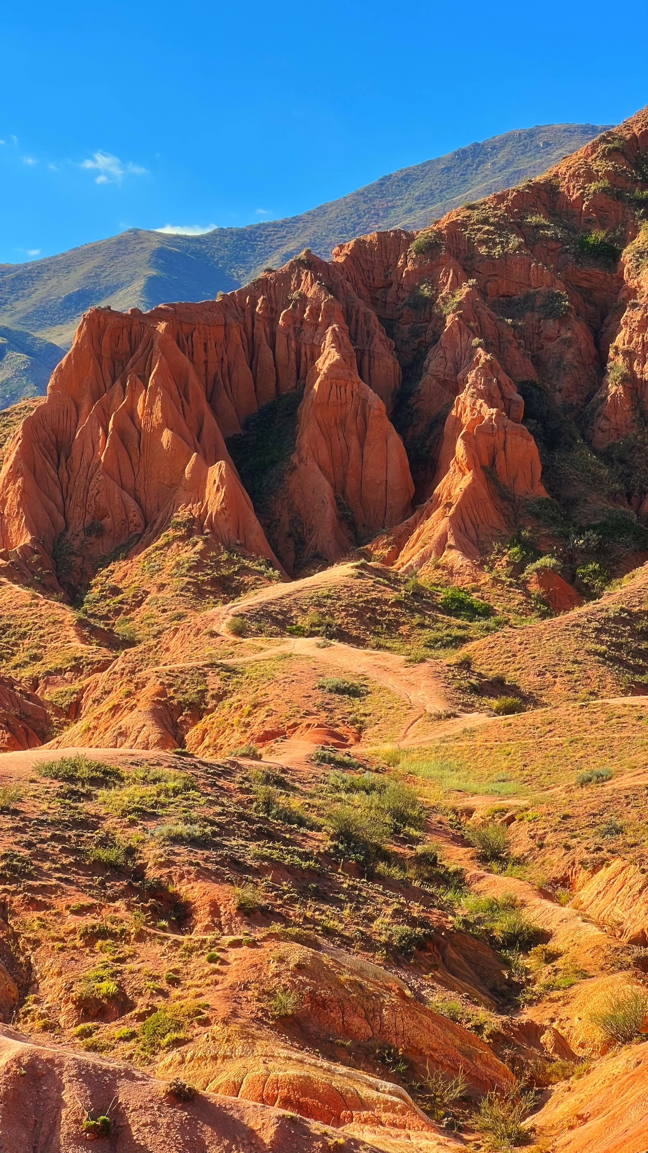 Red rock formations with green shrubs in a mountainous landscape under a clear blue sky.