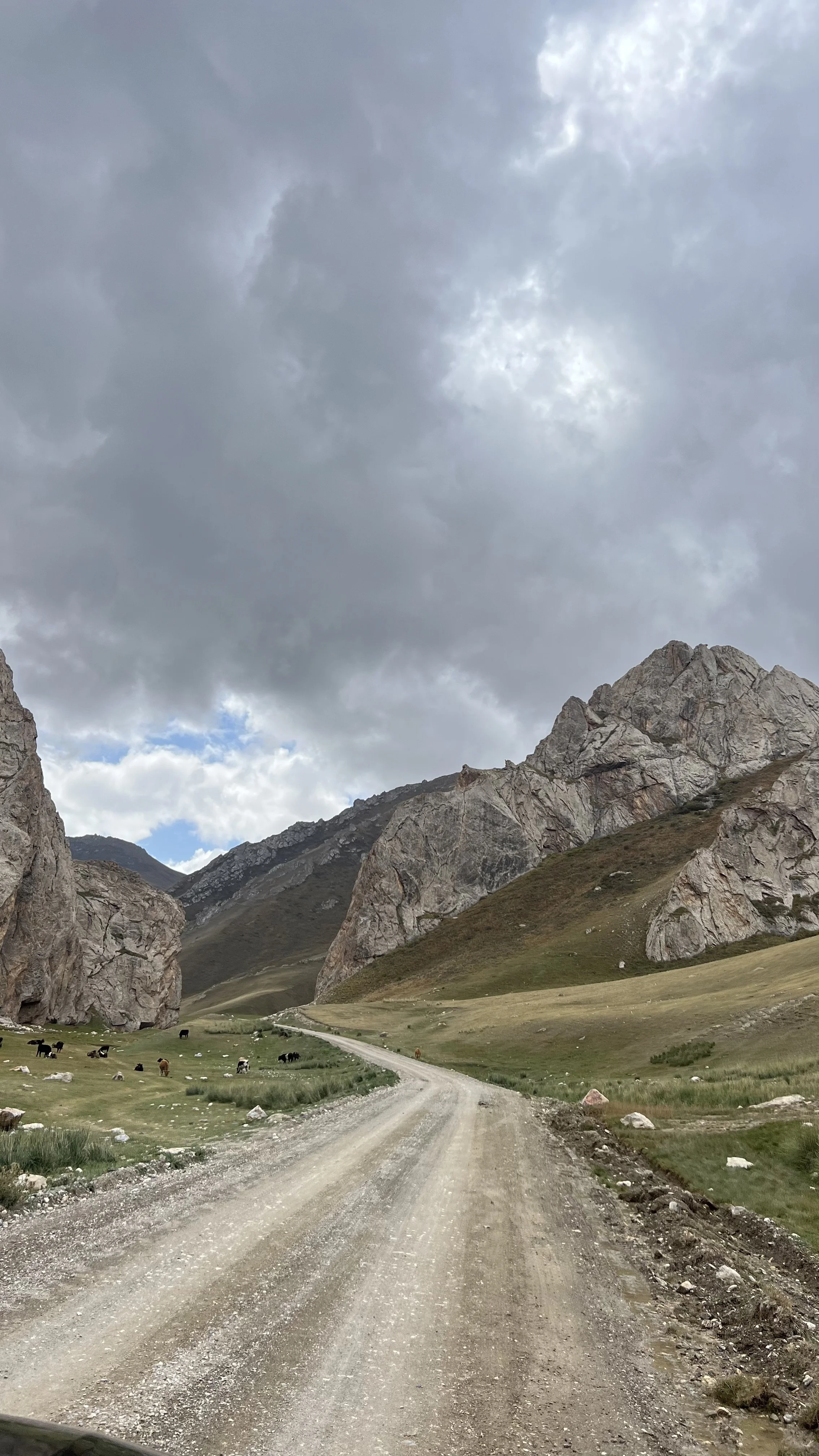 Dirt road winding through a grassy valley with cows grazing, surrounded by rocky mountains under cloudy sky.