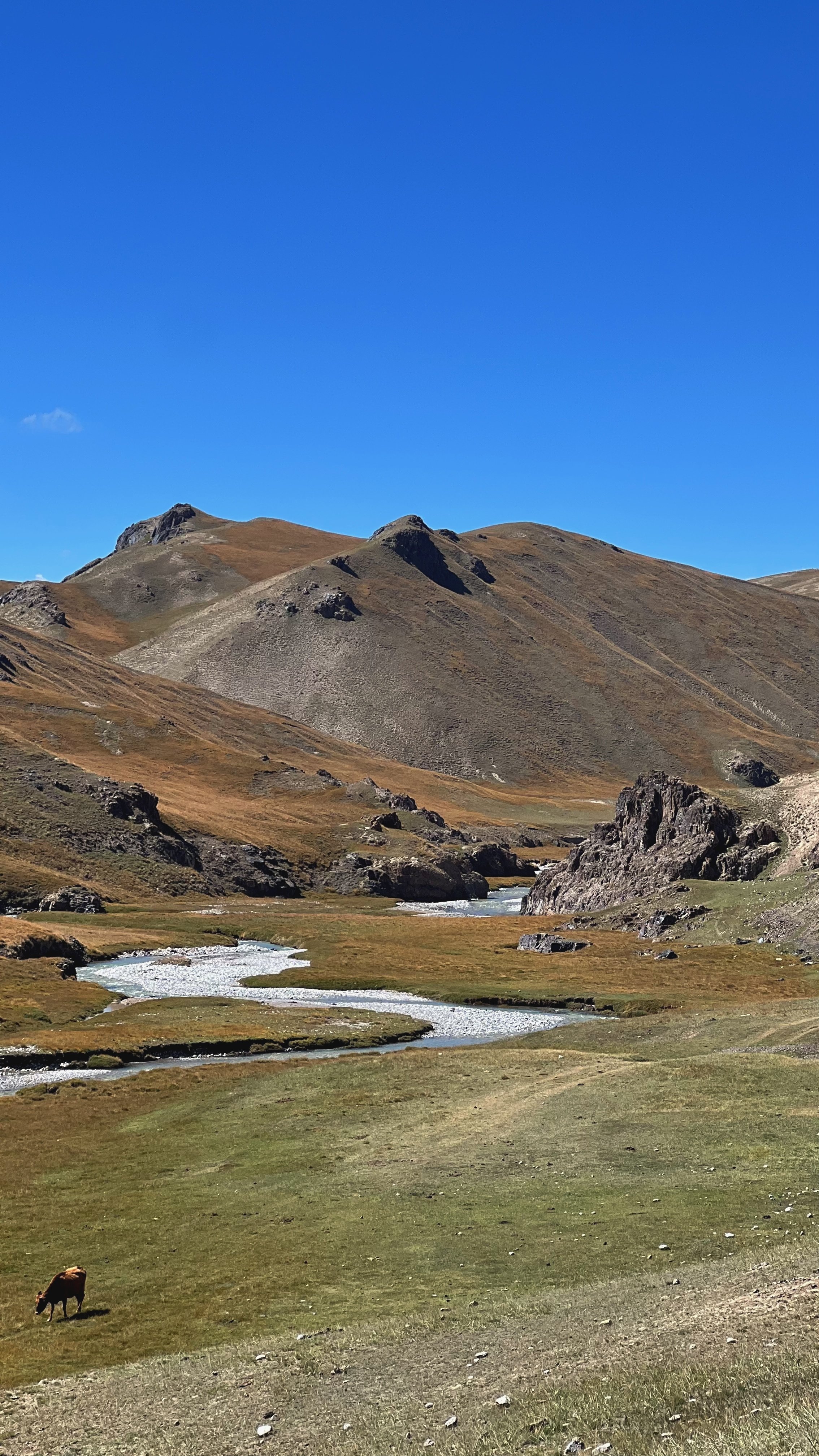 A scenic landscape of rolling hills and mountains with a river flowing through the valley, and a cow grazing in the foreground under a clear blue sky.
