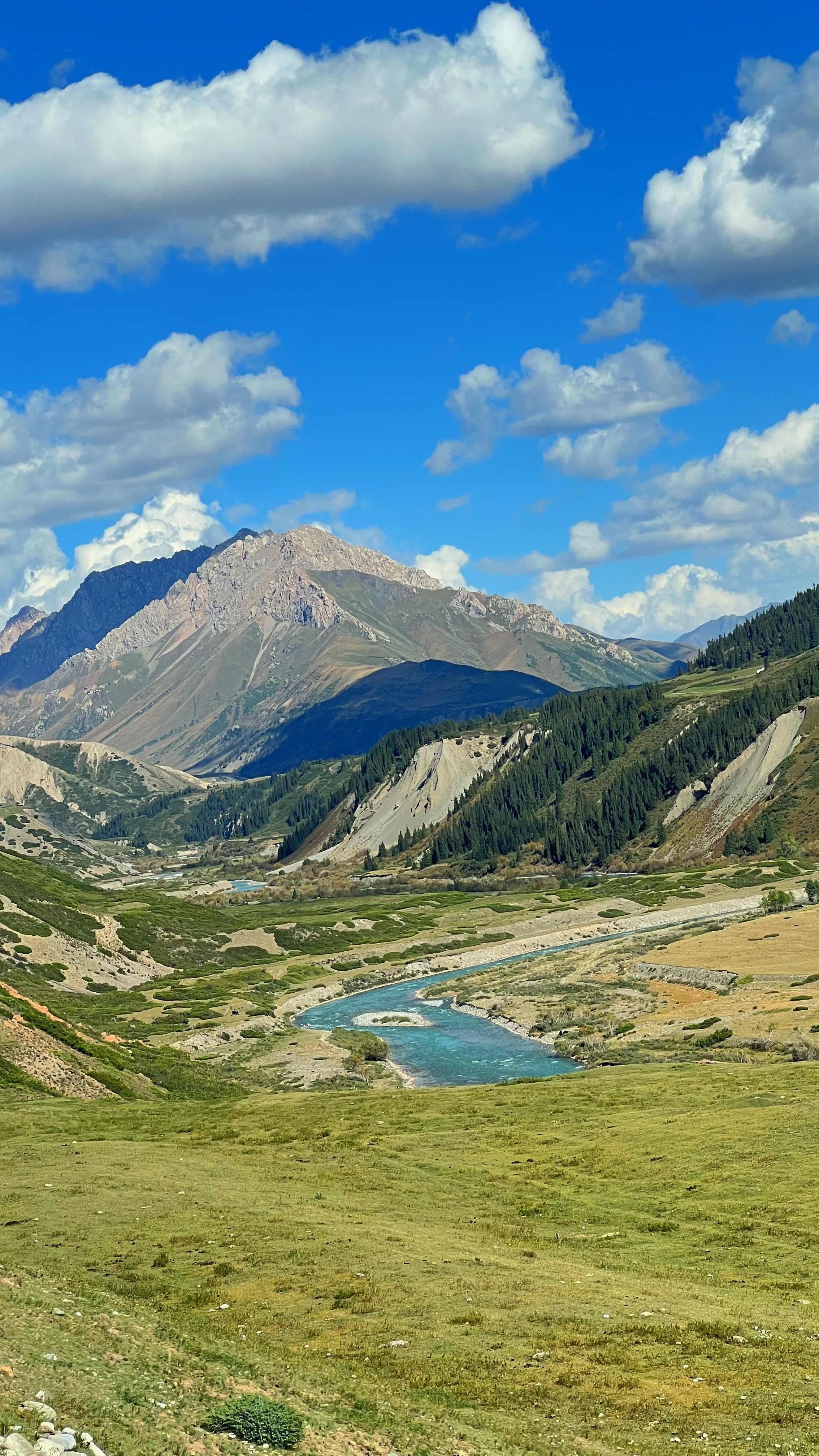 A scenic landscape featuring a winding river flowing through green plains, surrounded by mountains with peaks under a blue sky with scattered clouds.