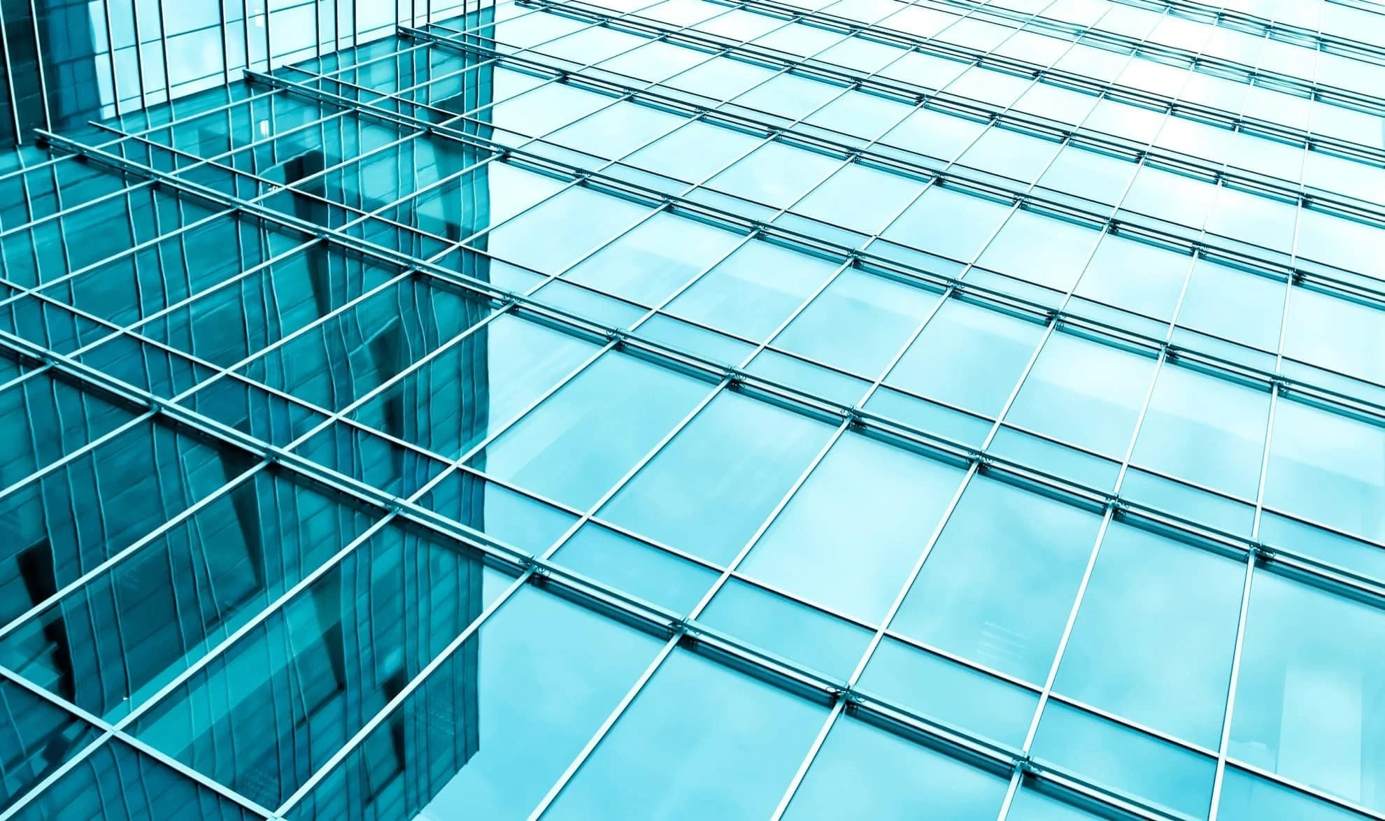 Fenster- und Glasreinigung
