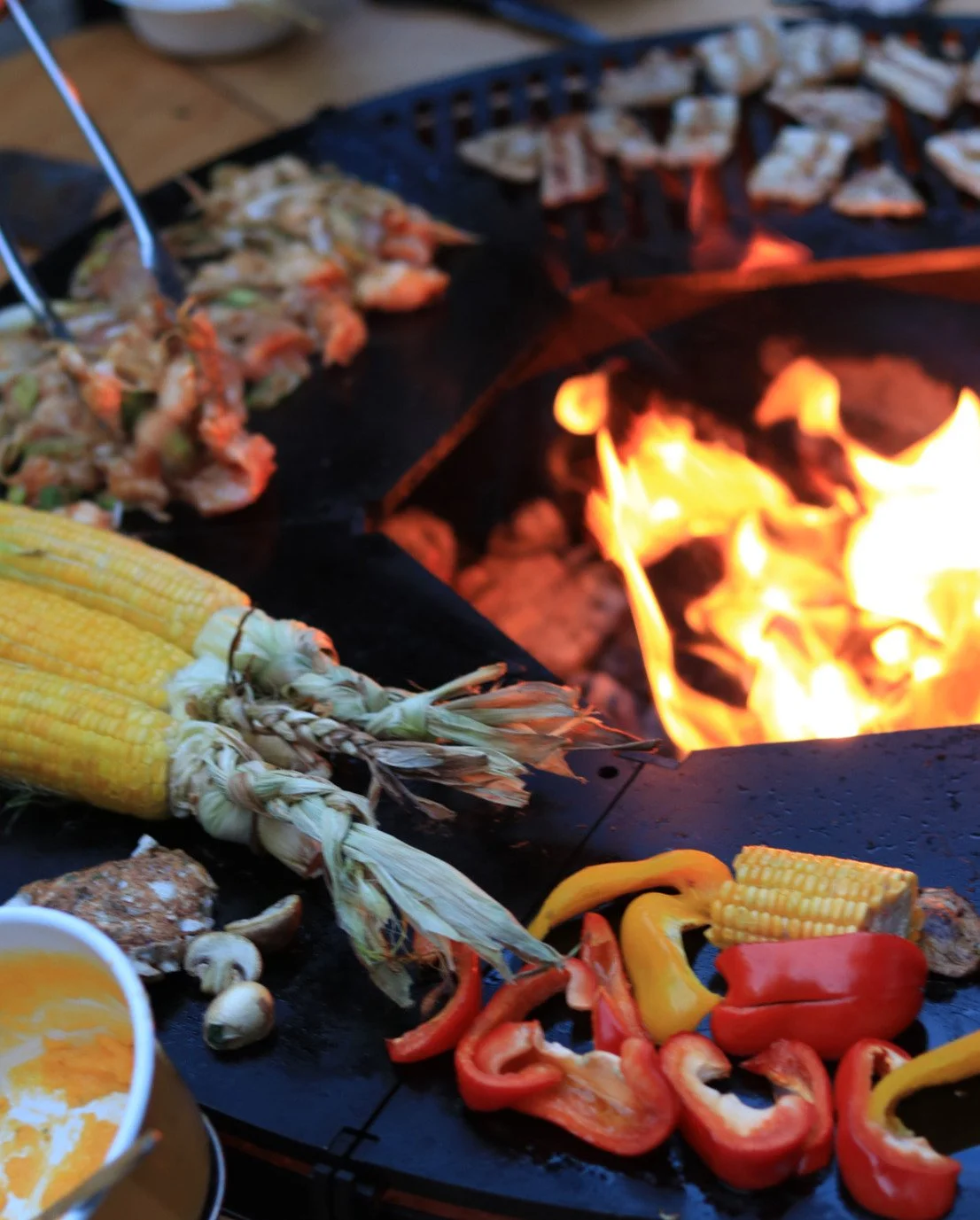 FIRESIDE — Outdoor — image 15