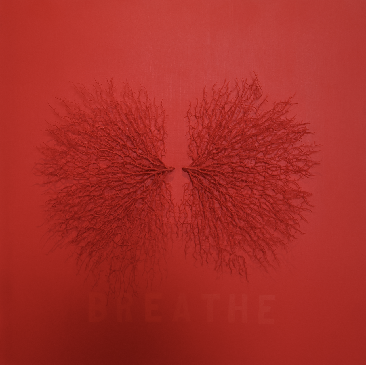 xx.png