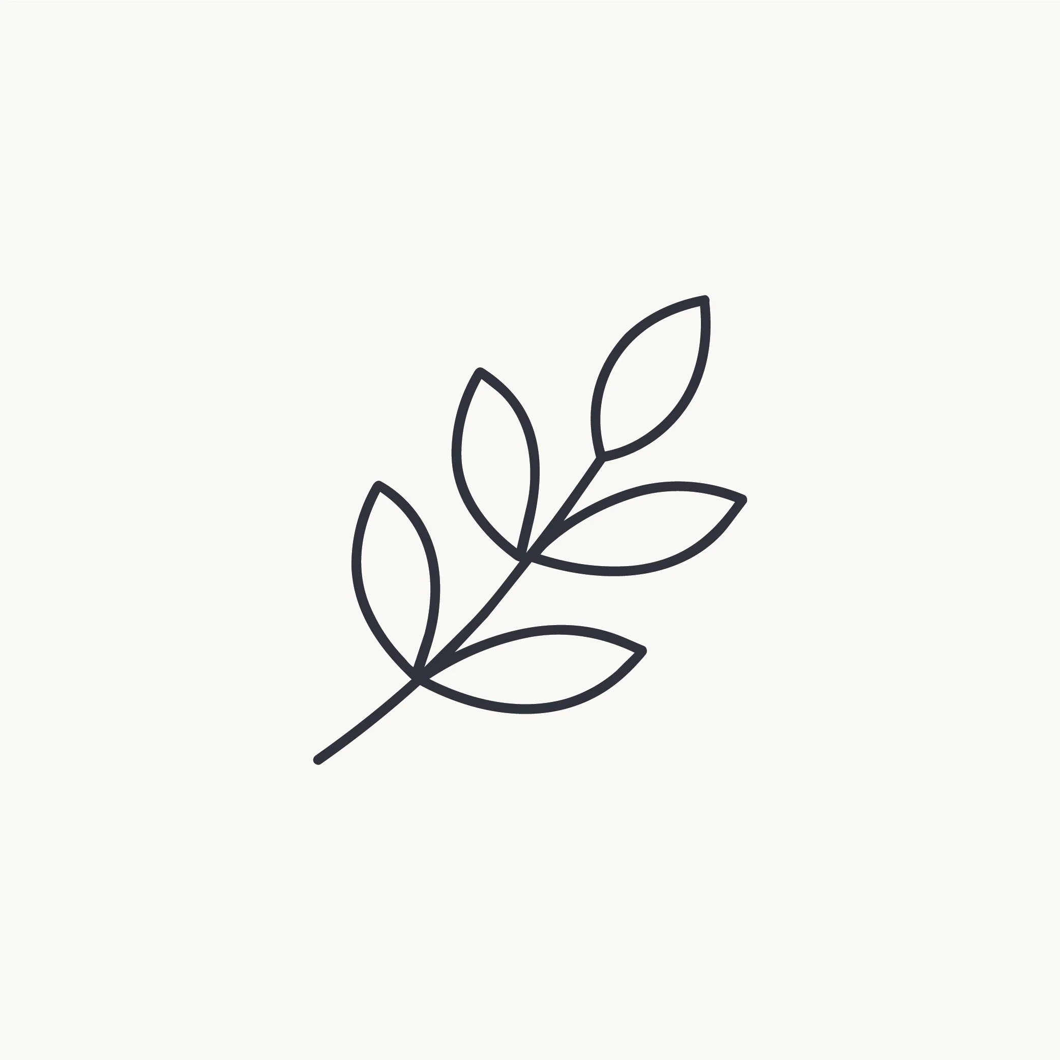 Line art drawing of a plant with several leaves on a plain background.