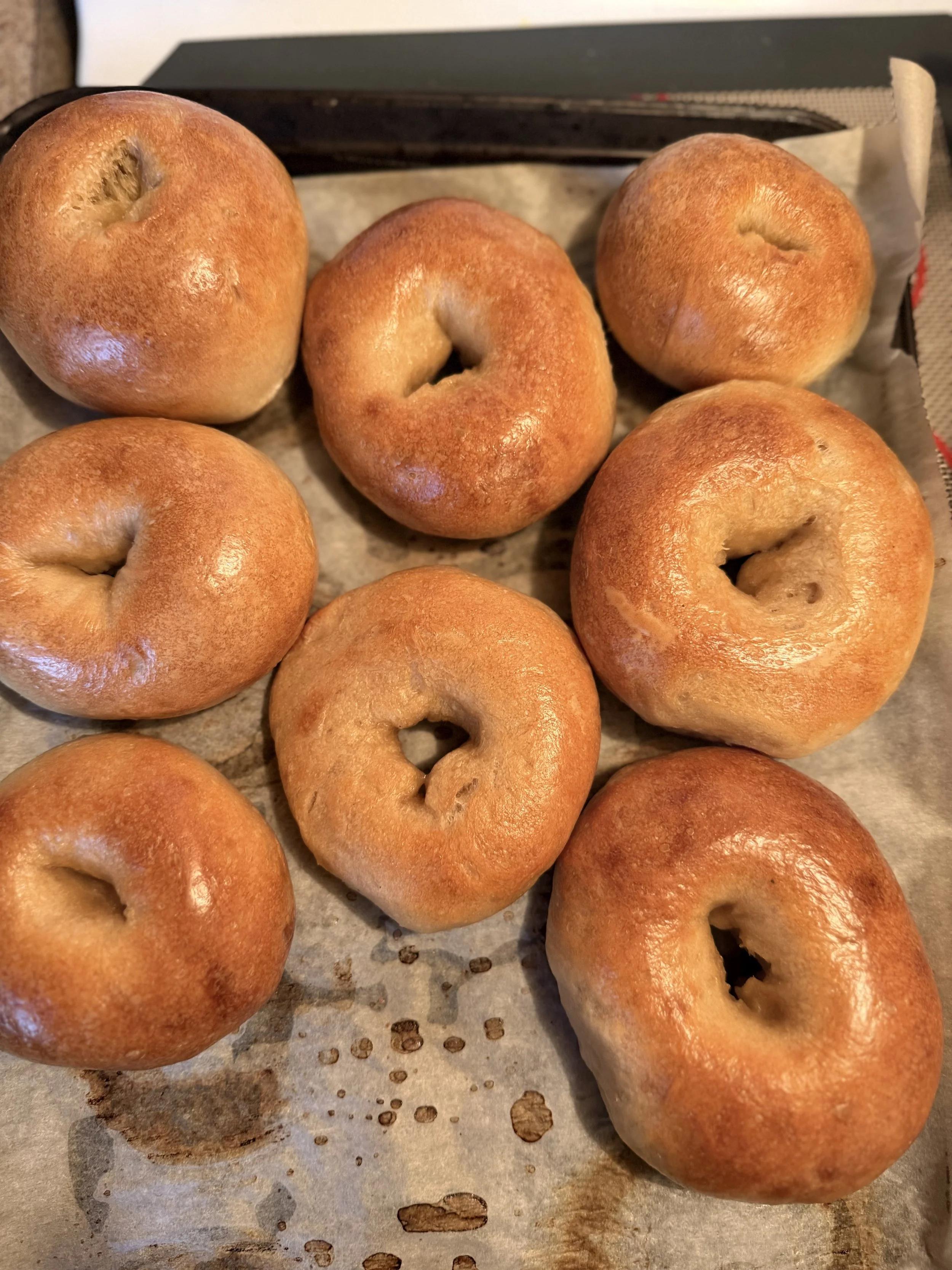 Sourdough Bagels-pack of 8