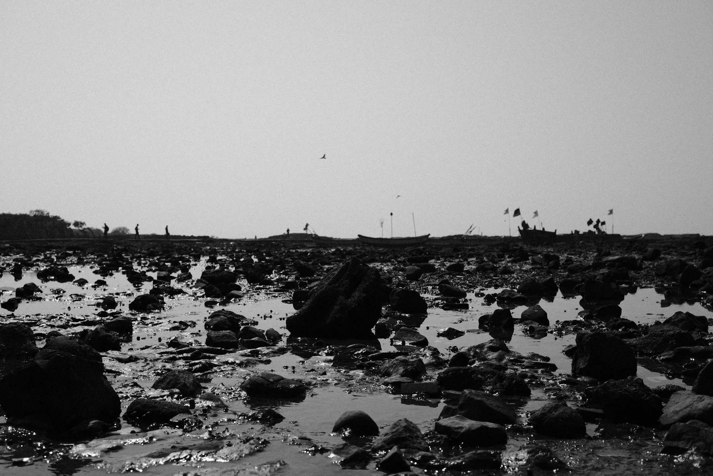 2023_0205_14273900.jpg