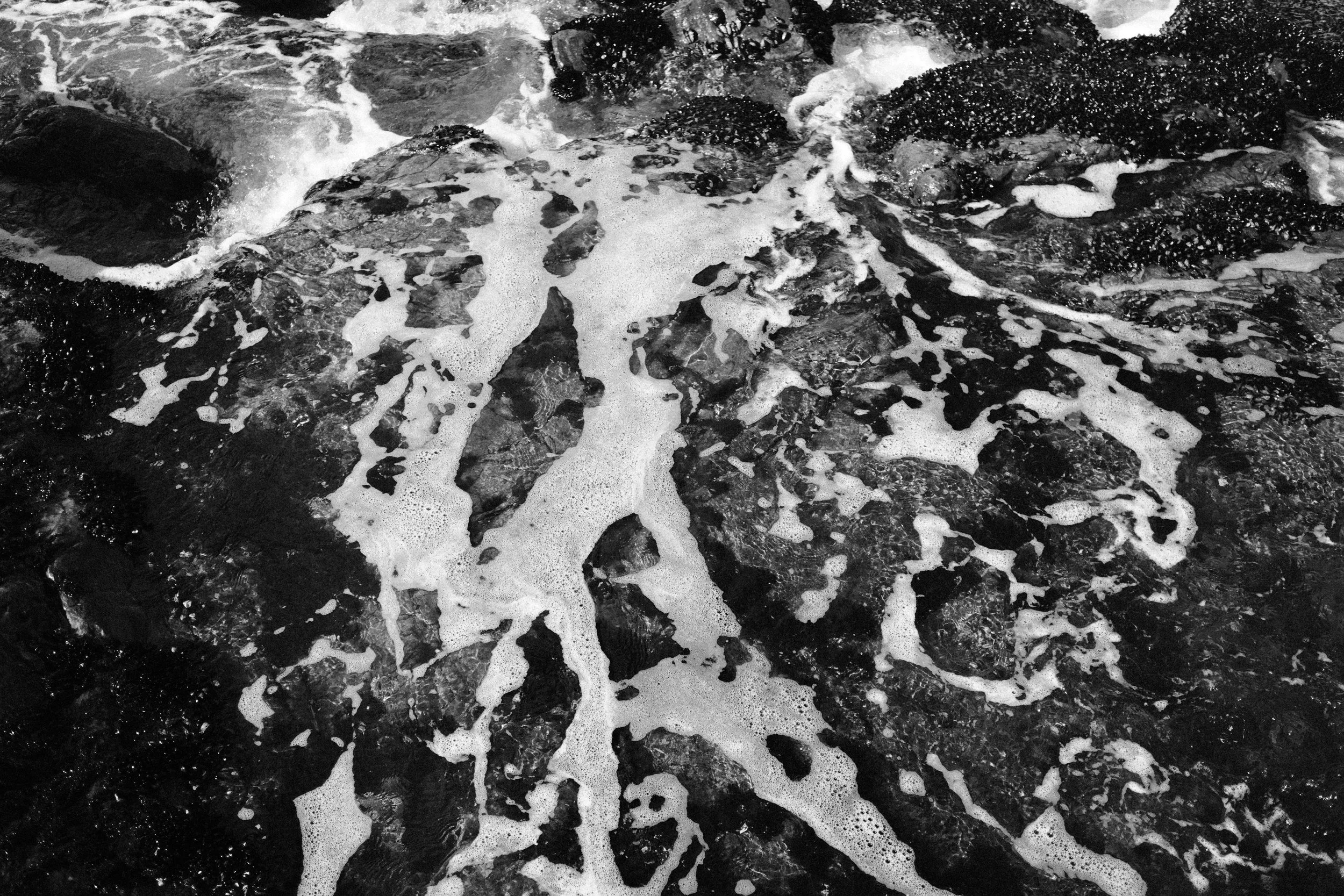 DSCF2141.JPG