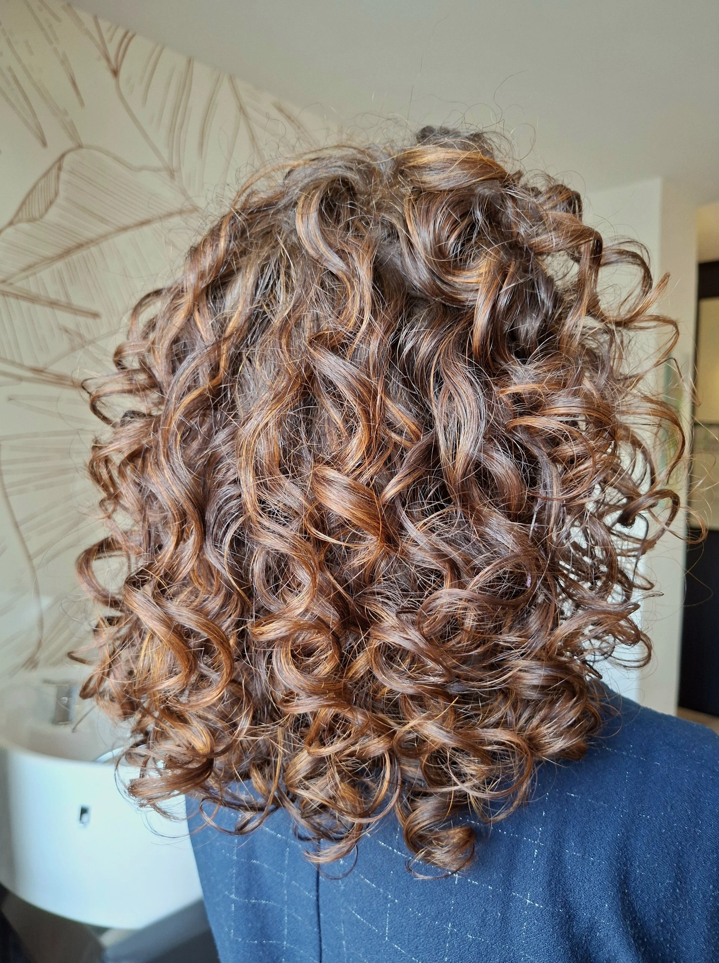 Cheveux bouclés et ondulés de couleur châtain avec des reflets cuivrés, portés par une personne portant un vêtement bleu. Fond intérieur avec décoration murale