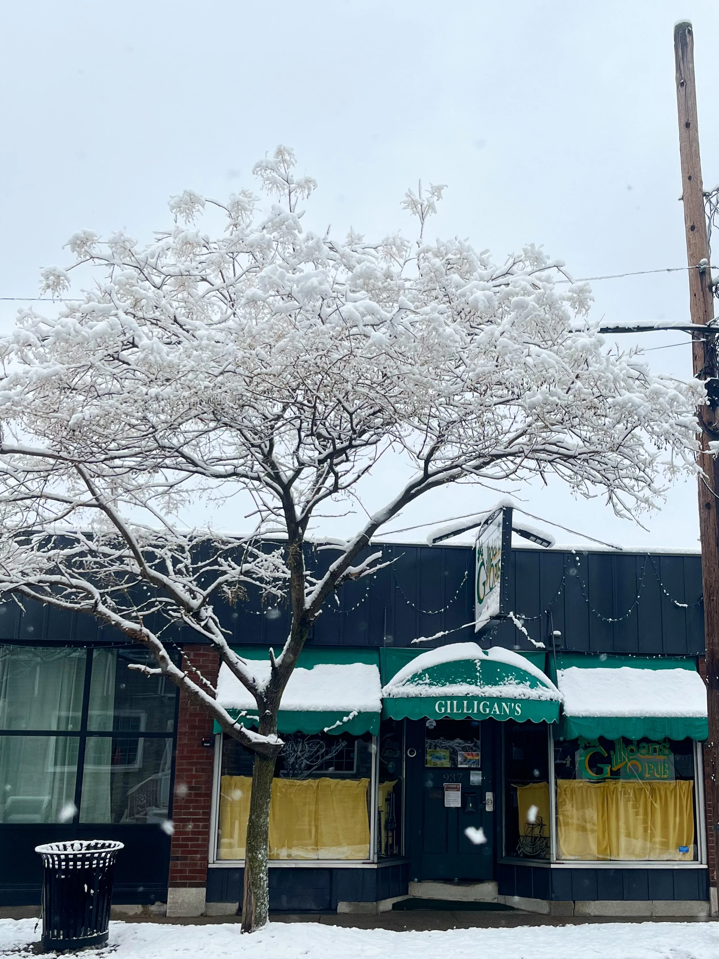 Snow-covered tree outside Gilligan’s pub, with snowy storefront, utility pole, and falling snow.