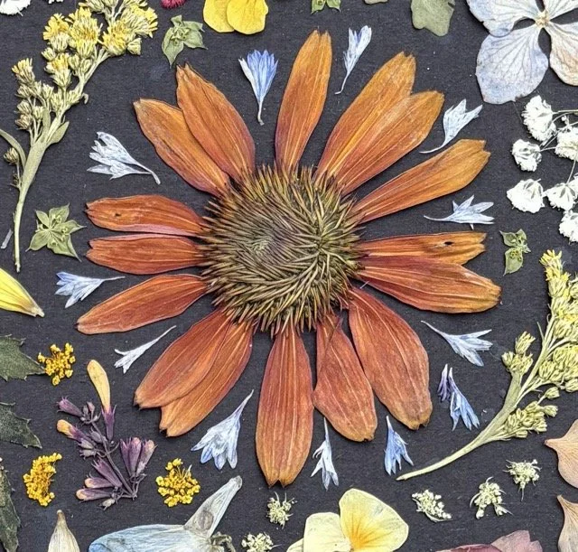 An orange-red blanket flower is the focal point of a pressed flower arrangement on a black background, with smaller blue, white, yellow, and purple flowers filling in gaps around the petals.