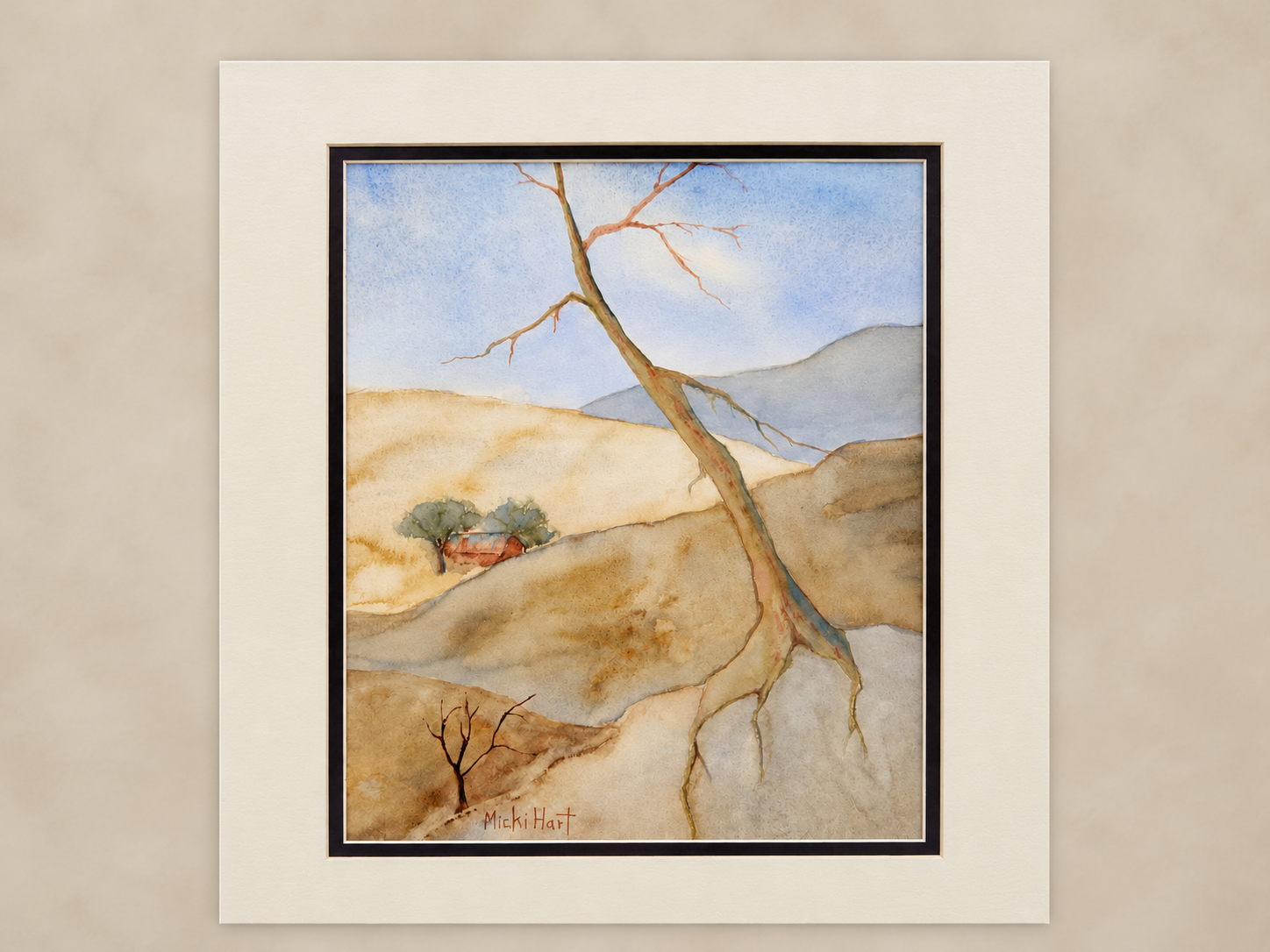 Solitude in the Foothills