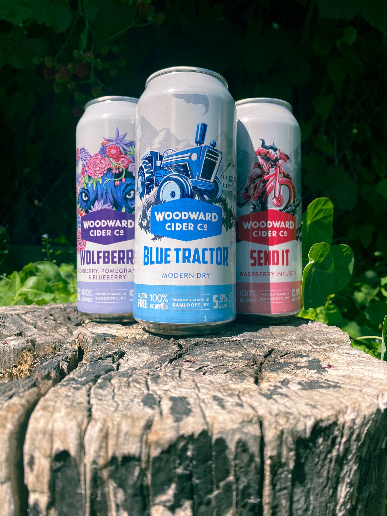 ethan-woronko-illustration-cider-woodward-cans-group.jpg