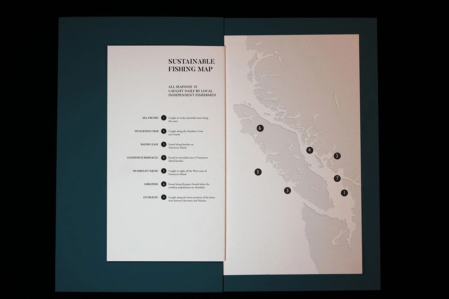ethan-woronko-oystercatcher-menu-design-mockup-spread-map.jpg