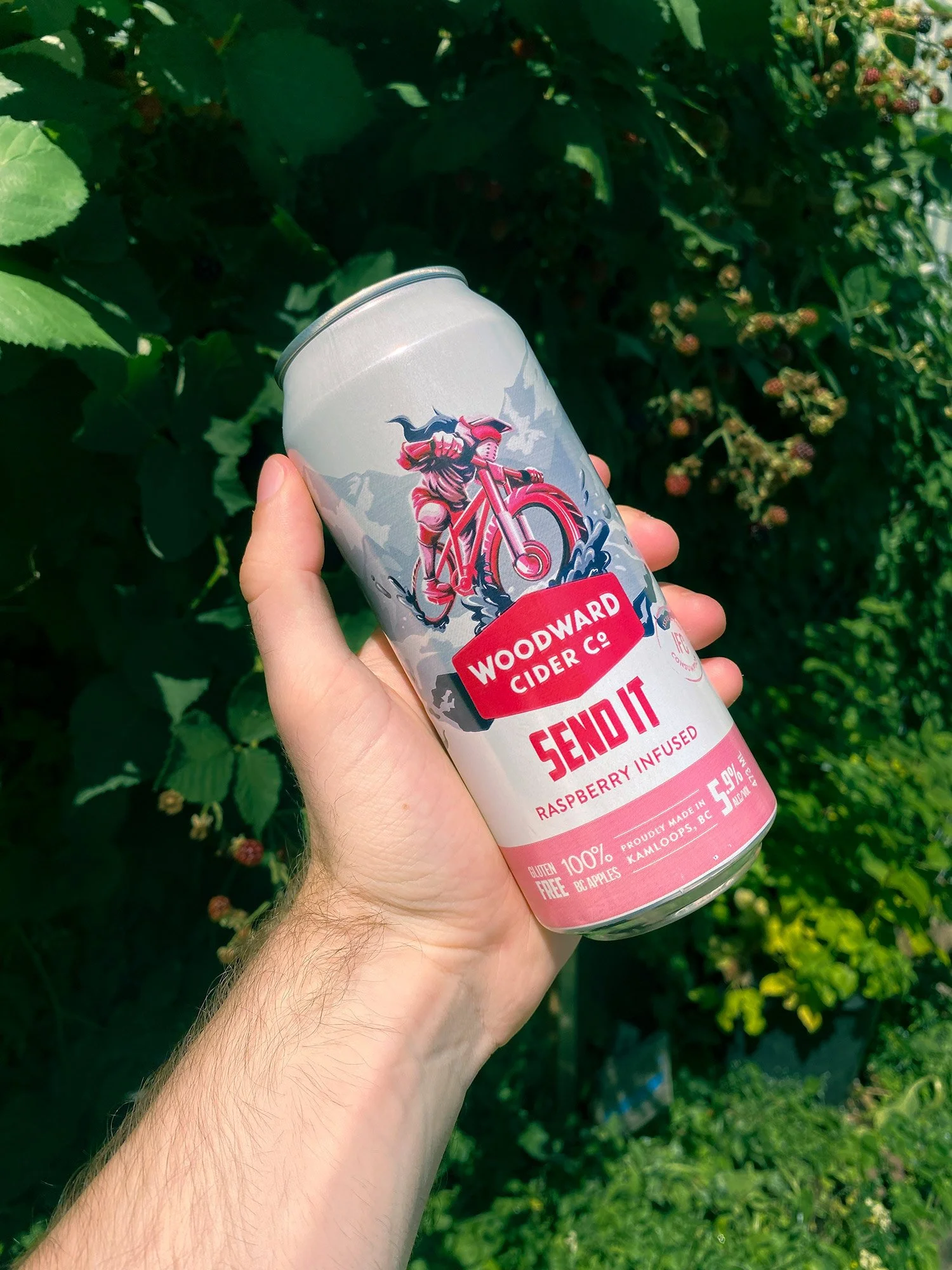 ethan-woronko-illustration-cider-woodward-cans-send-it.jpg